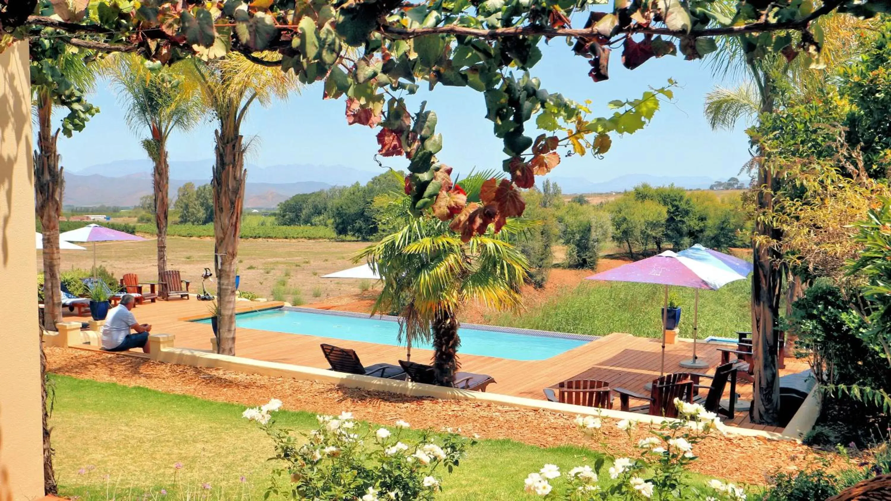 Pool view, Swimming Pool in theLAB Robertson