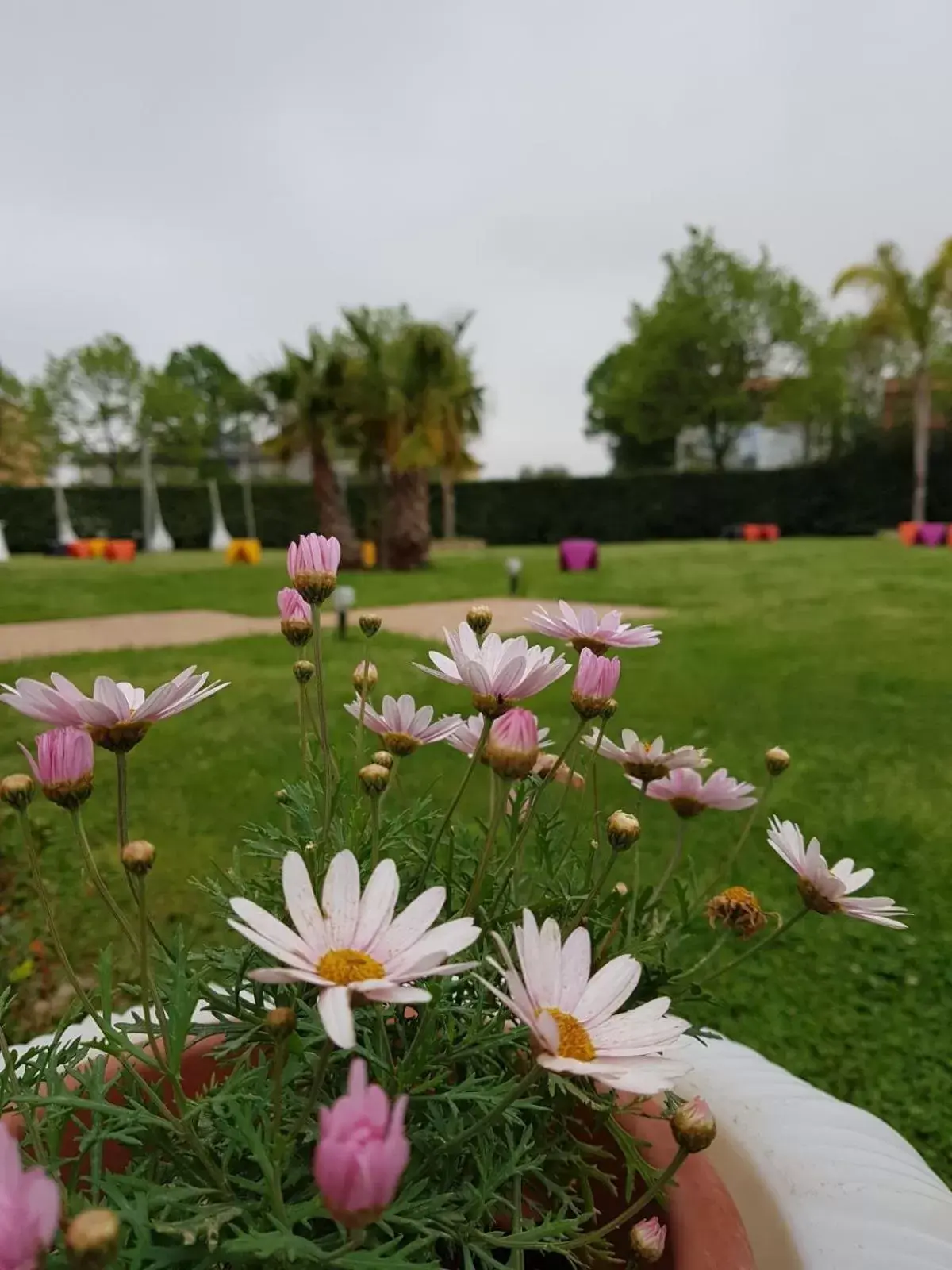 Garden in giardini del Novecento