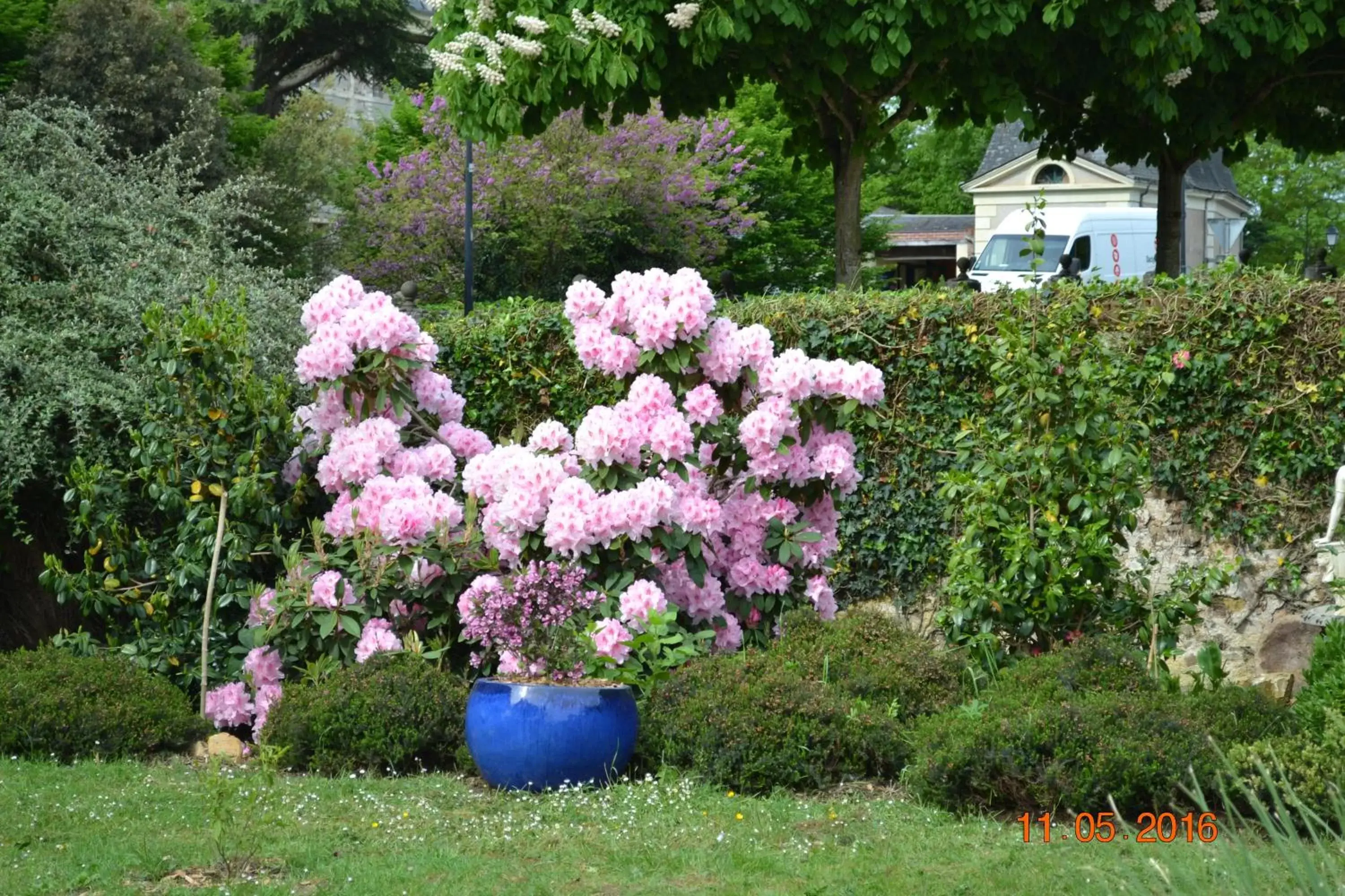 Garden in Hôtel Le Castel