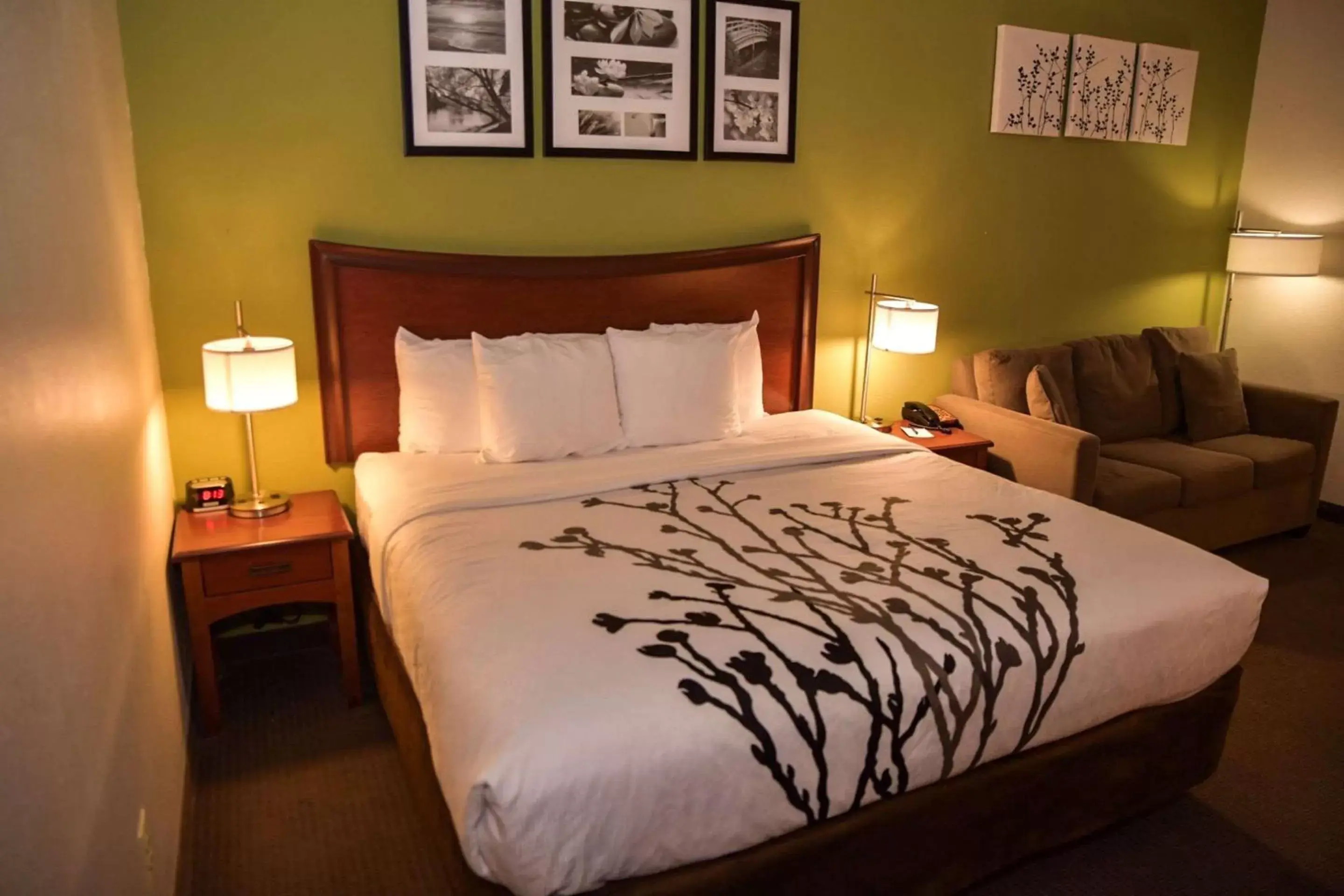 Bedroom, Bed in Sleep Inn & Suites Laurel