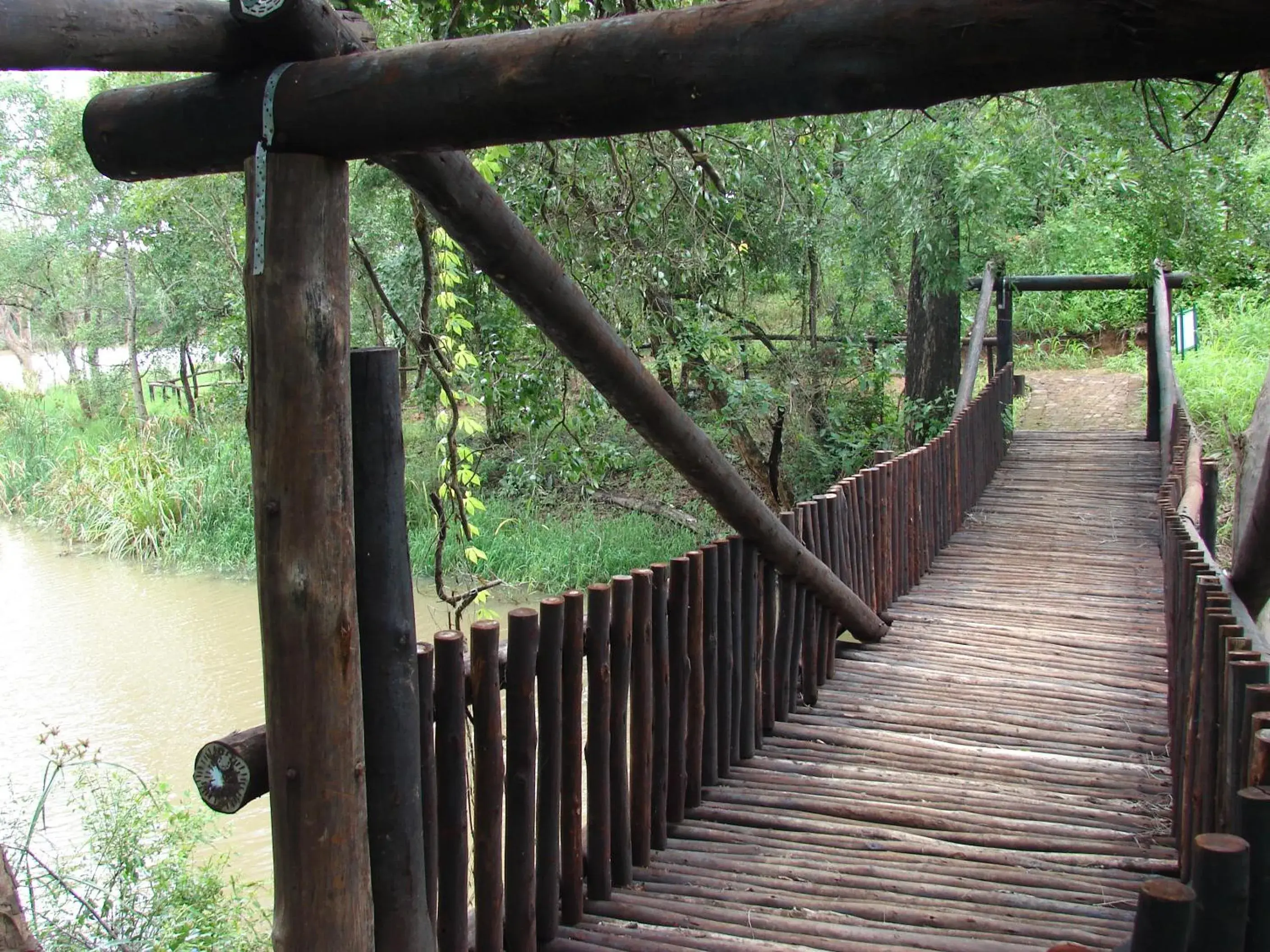 Natural landscape in Tzaneen Country Lodge