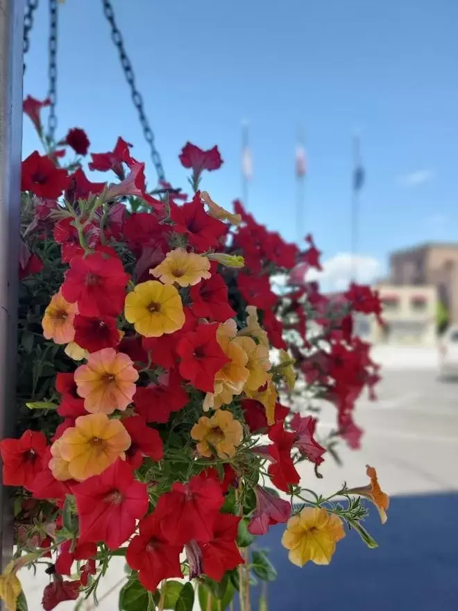 Garden, Property Building in Bozeman Lewis & Clark Motel