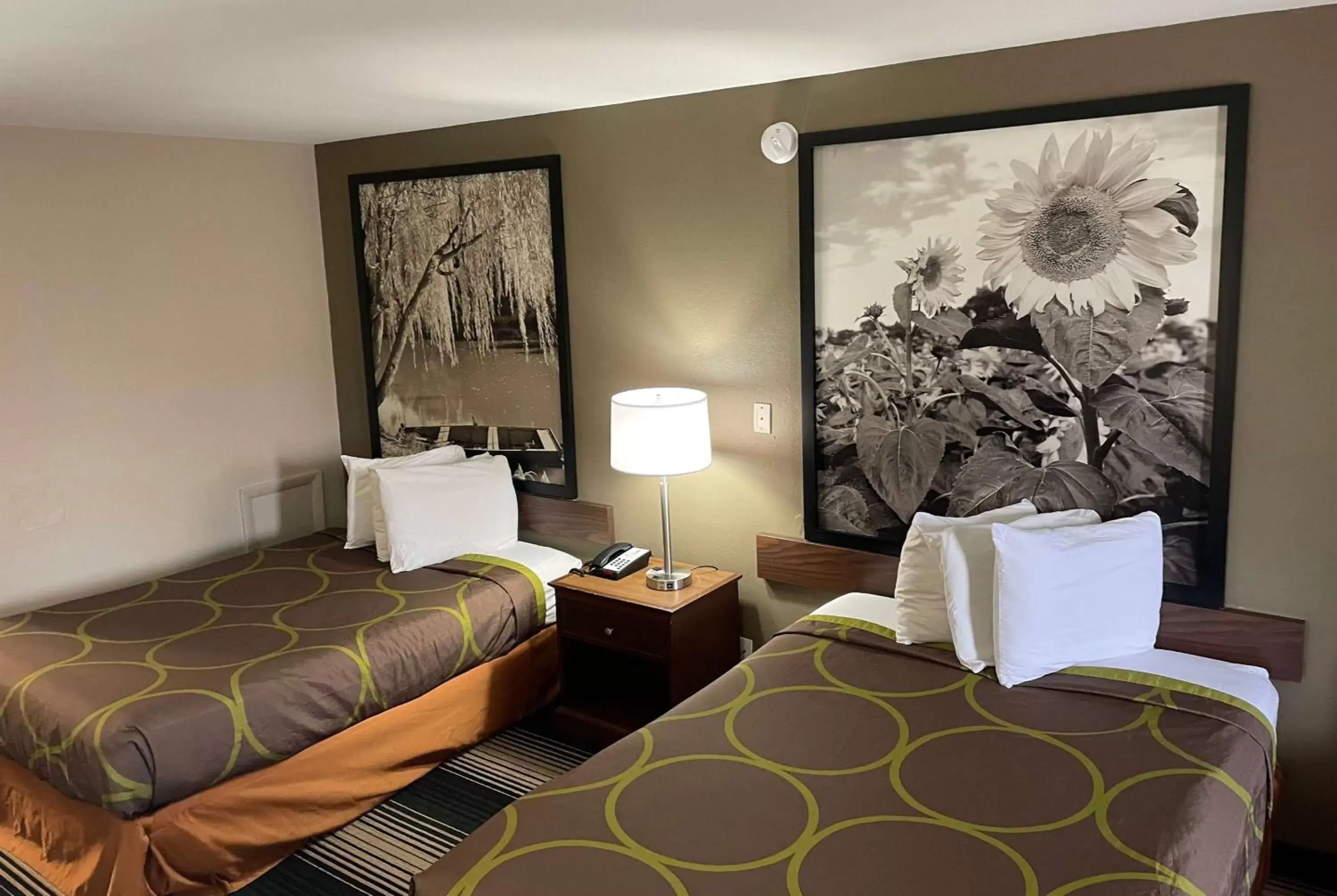 Photo of the whole room, Bed in Super 8 by Wyndham Junction City