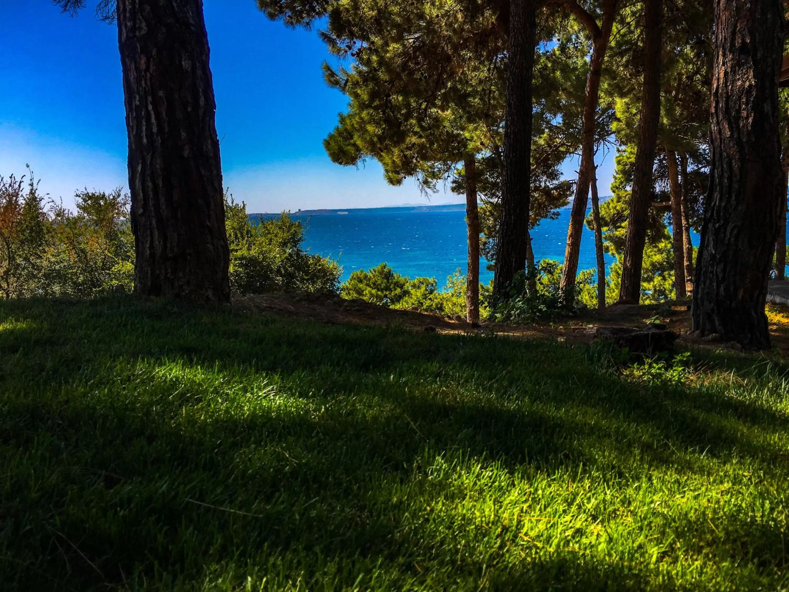 Day in Troia Tusan Hotel