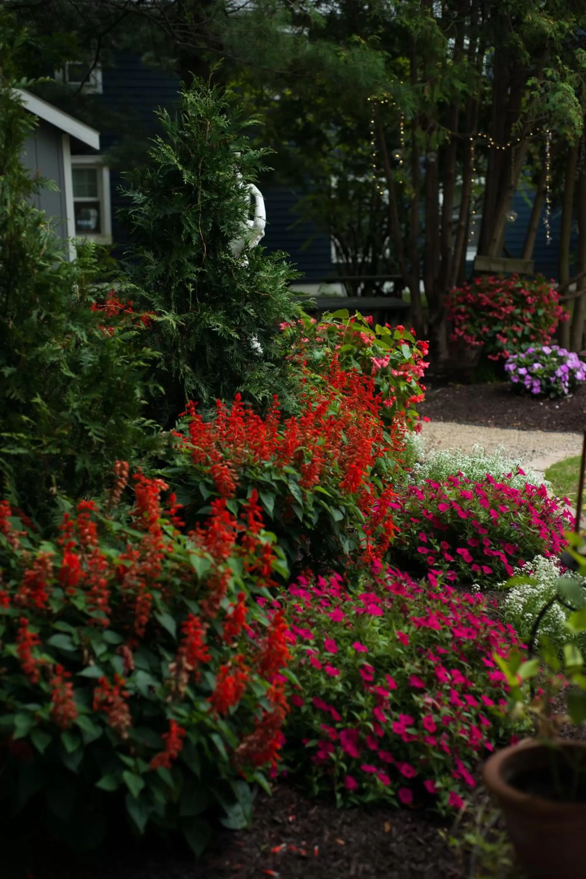 Garden view in The Borland House Inn