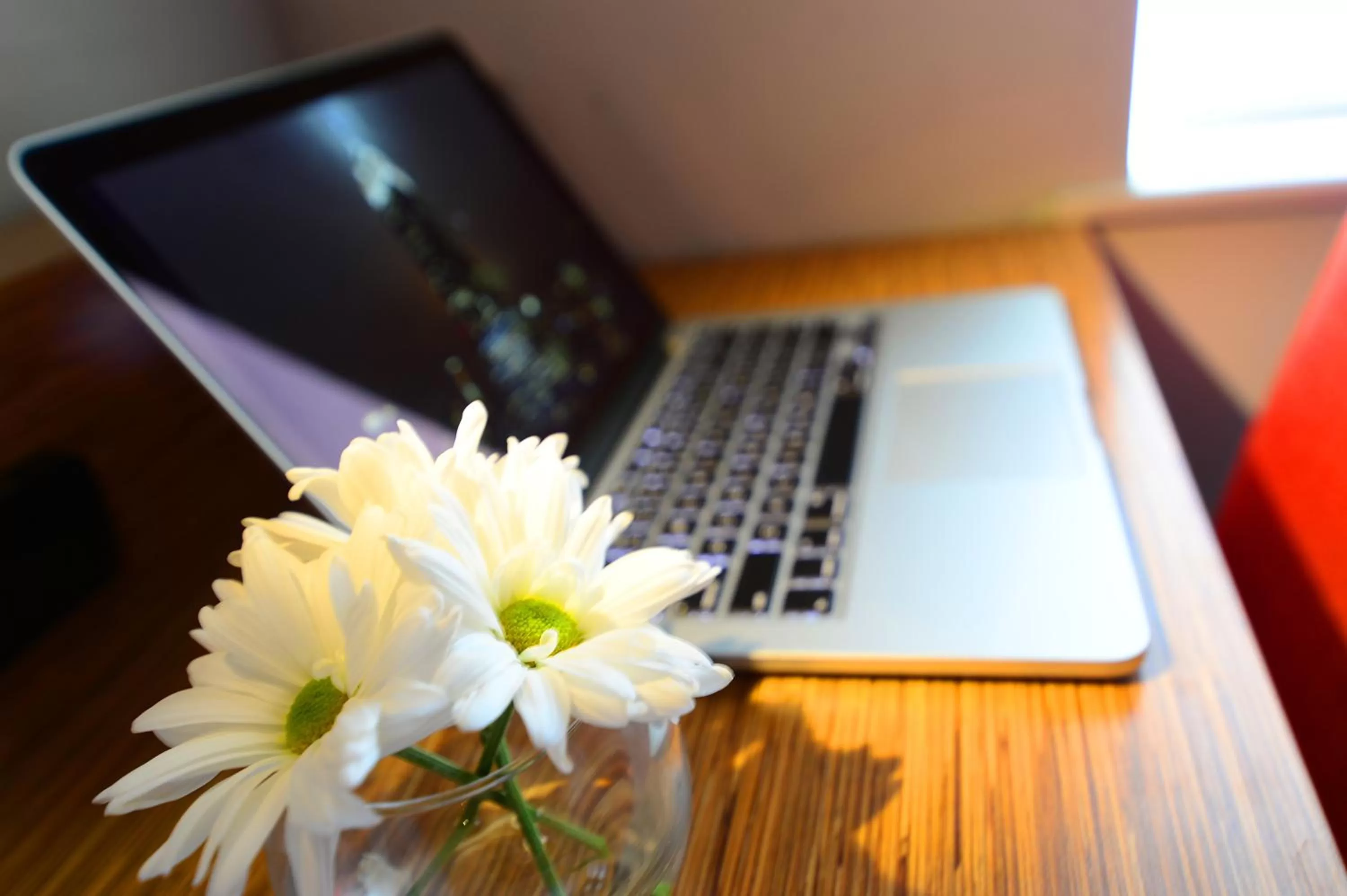 Area and facilities in Edge Hotel Washington Heights