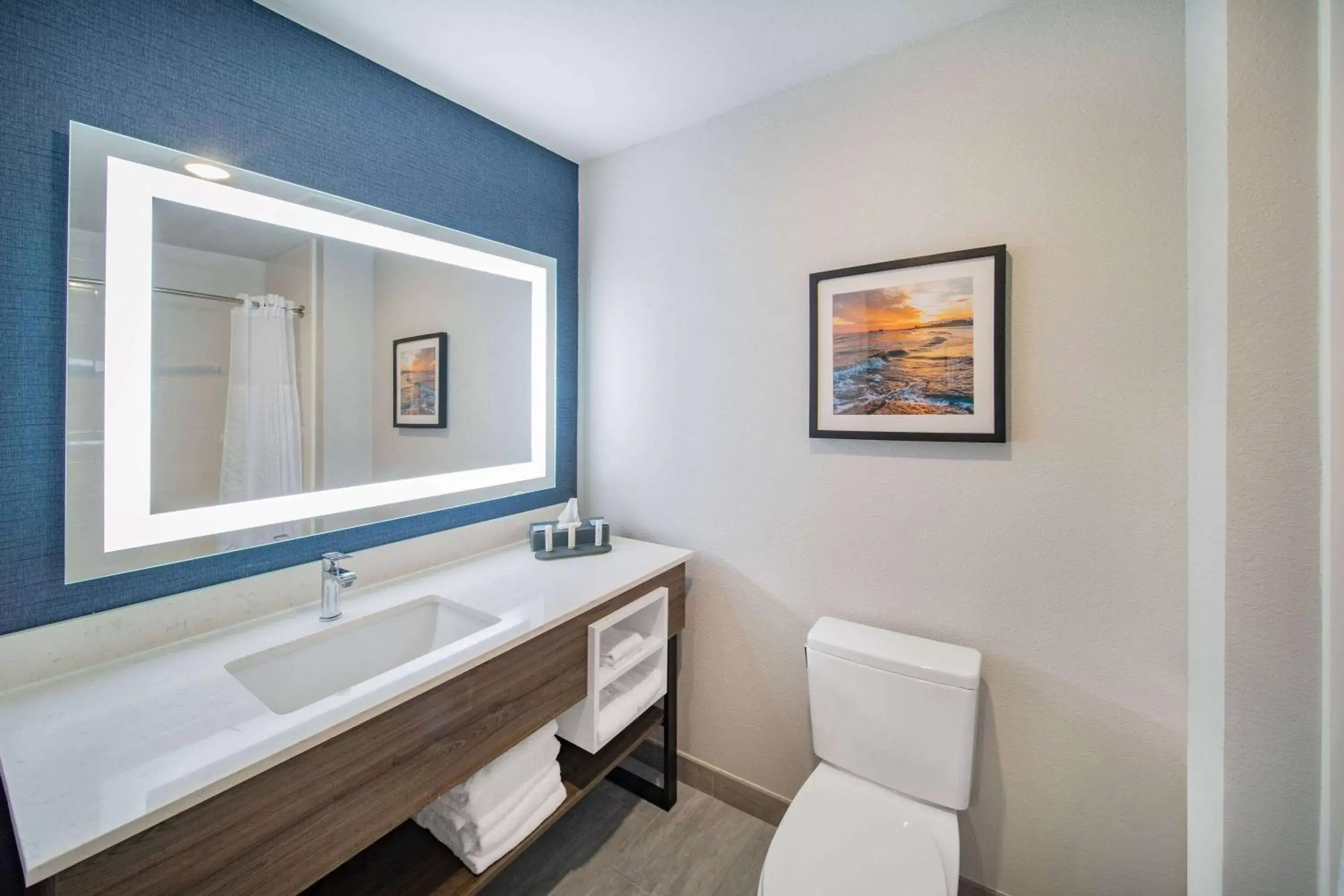 Toilet, Bathroom in La Quinta Inn & Suites by Wyndham Galveston North at I-45