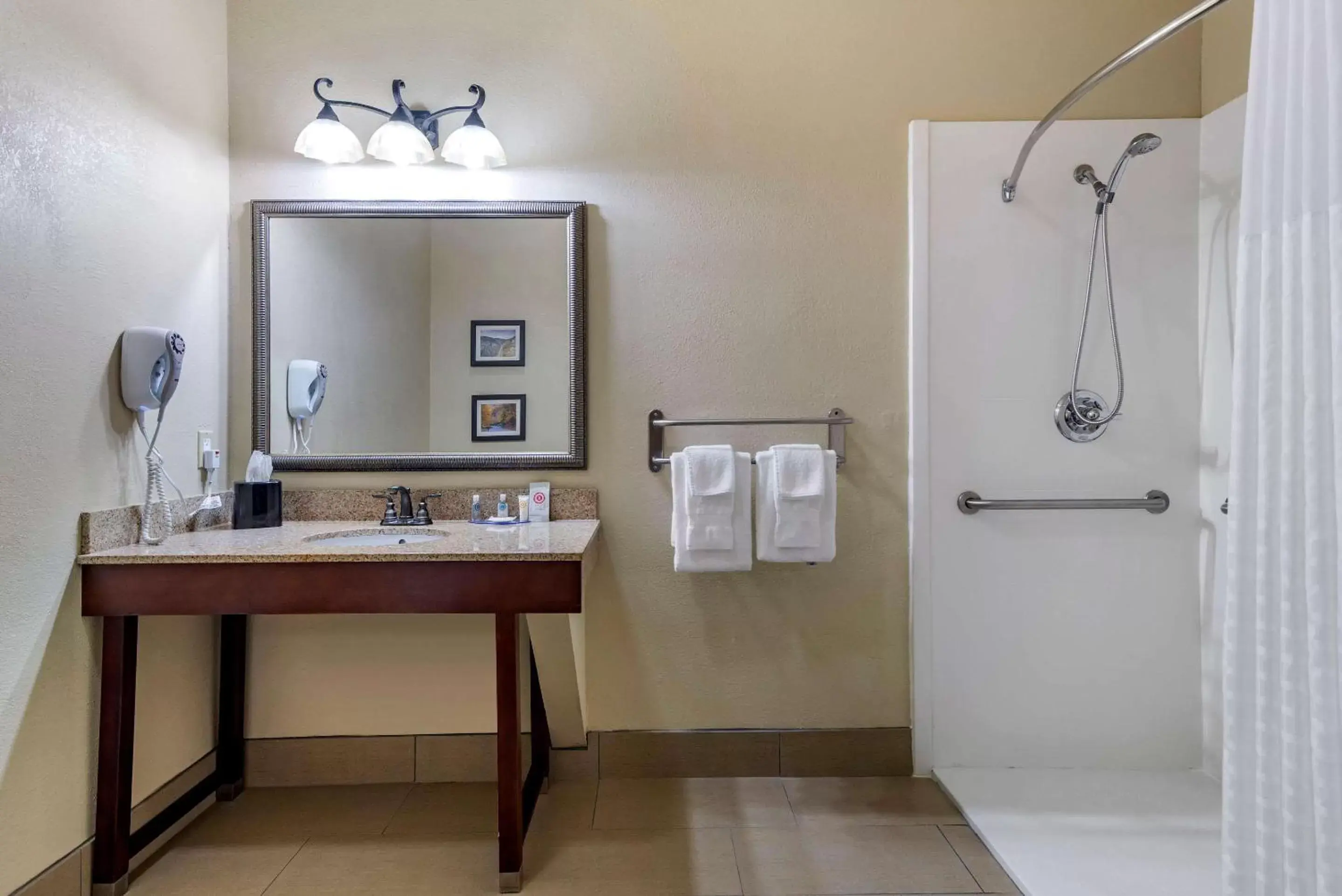 Bathroom in Comfort Inn & Suites Blue Ridge