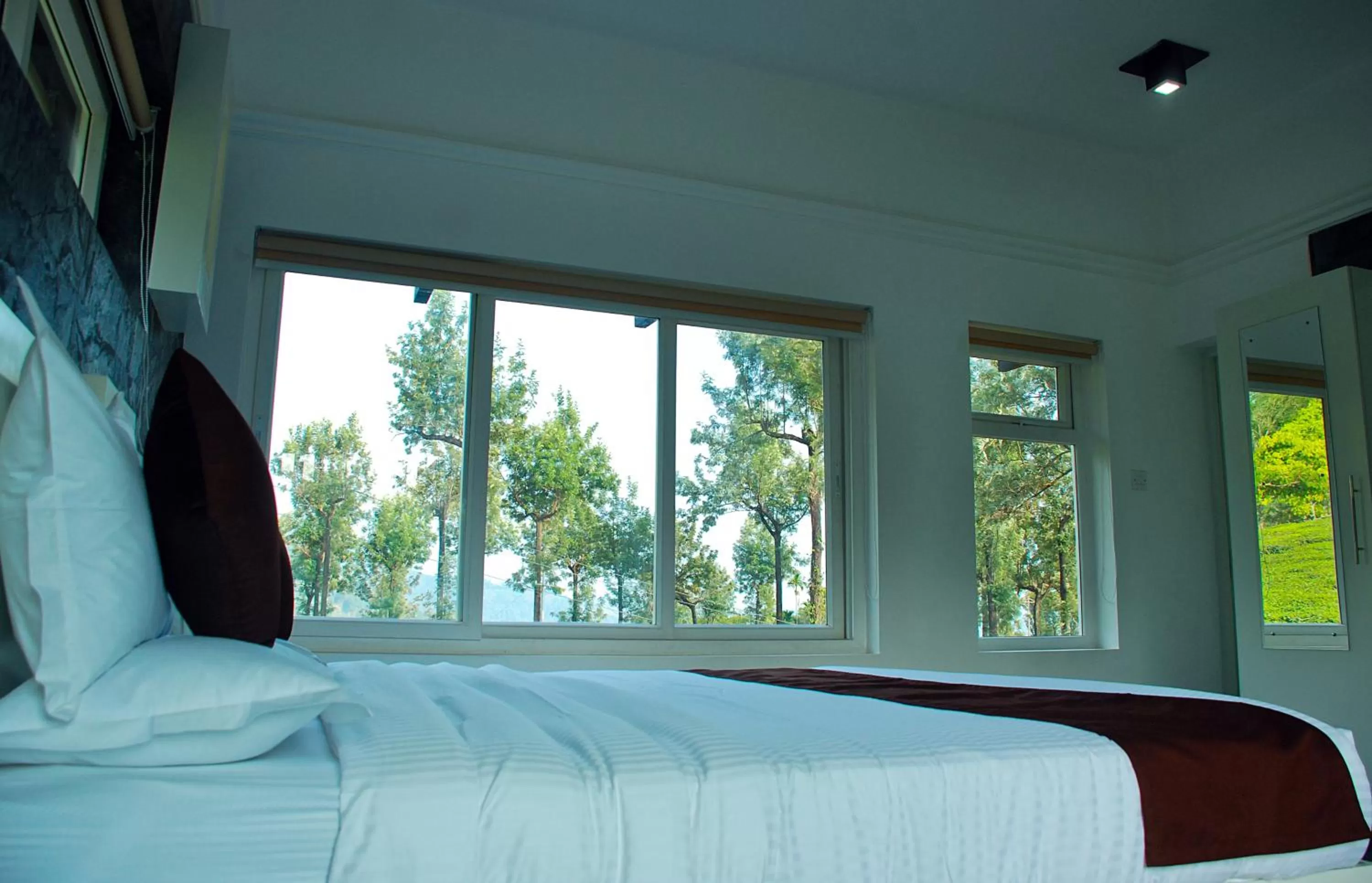 Bed in Gruenberg Tea Plantation Haus