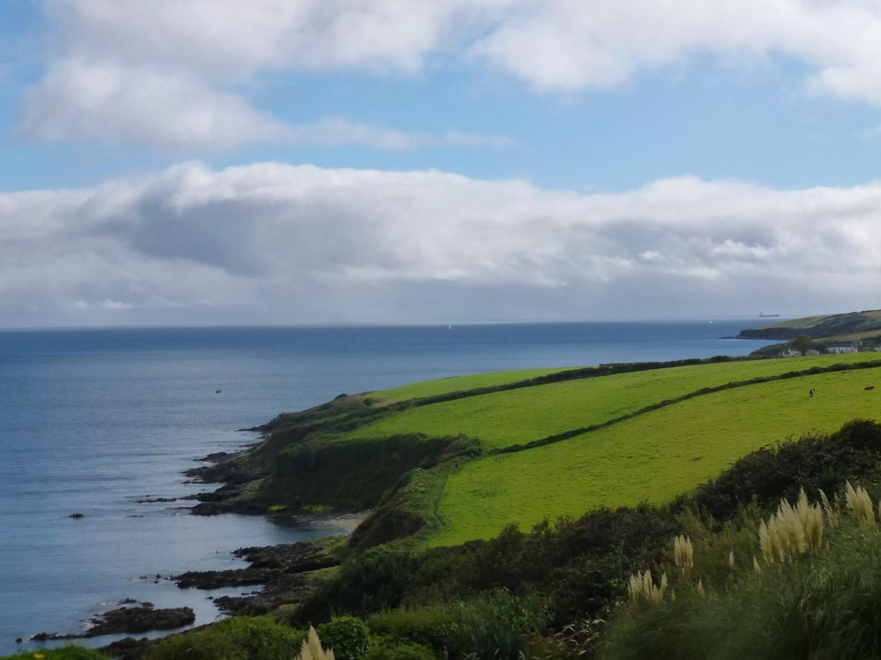 Sea view in Driftwood B&B