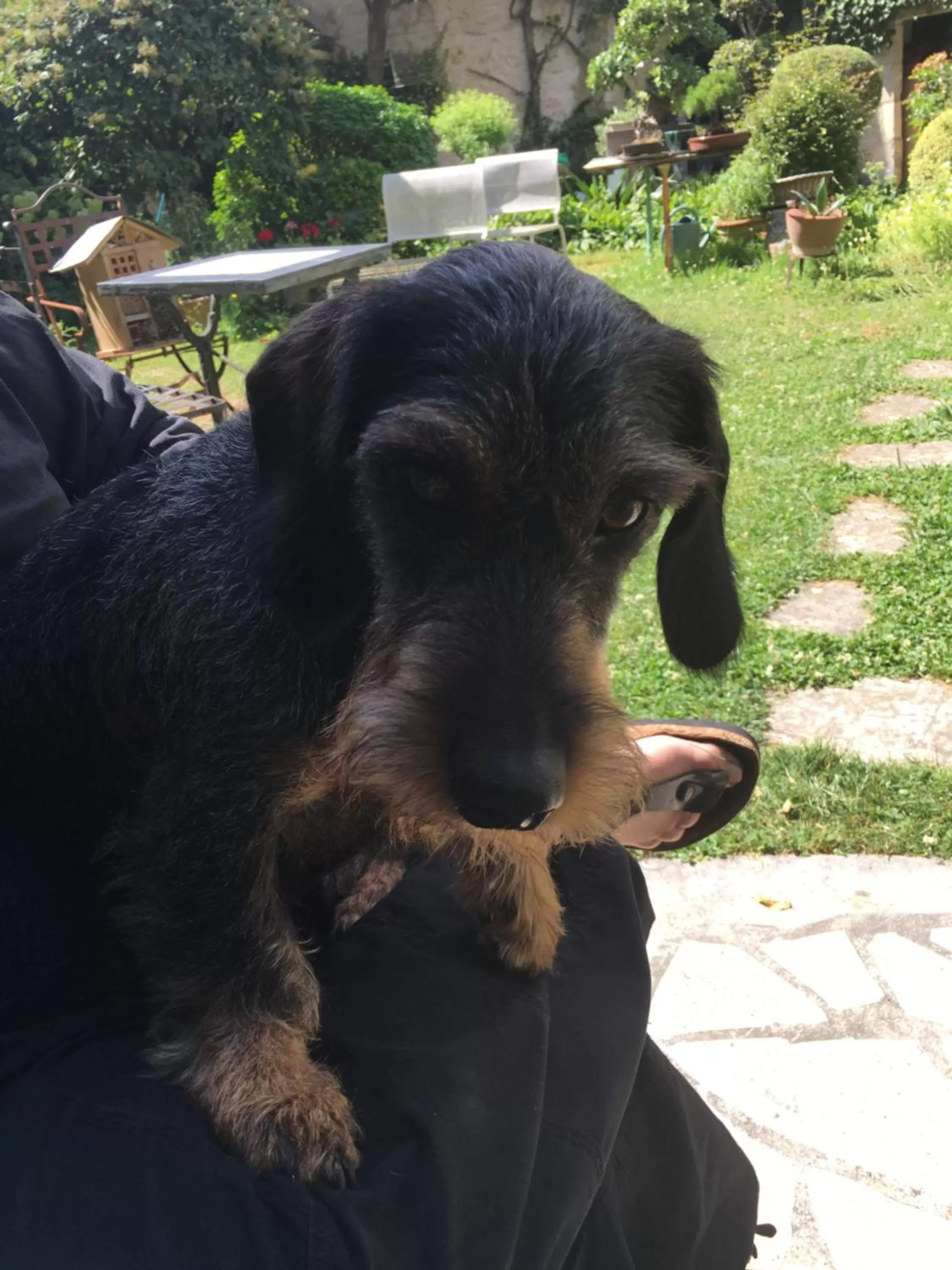 Garden in La Porte Rouge - The Red Door Inn