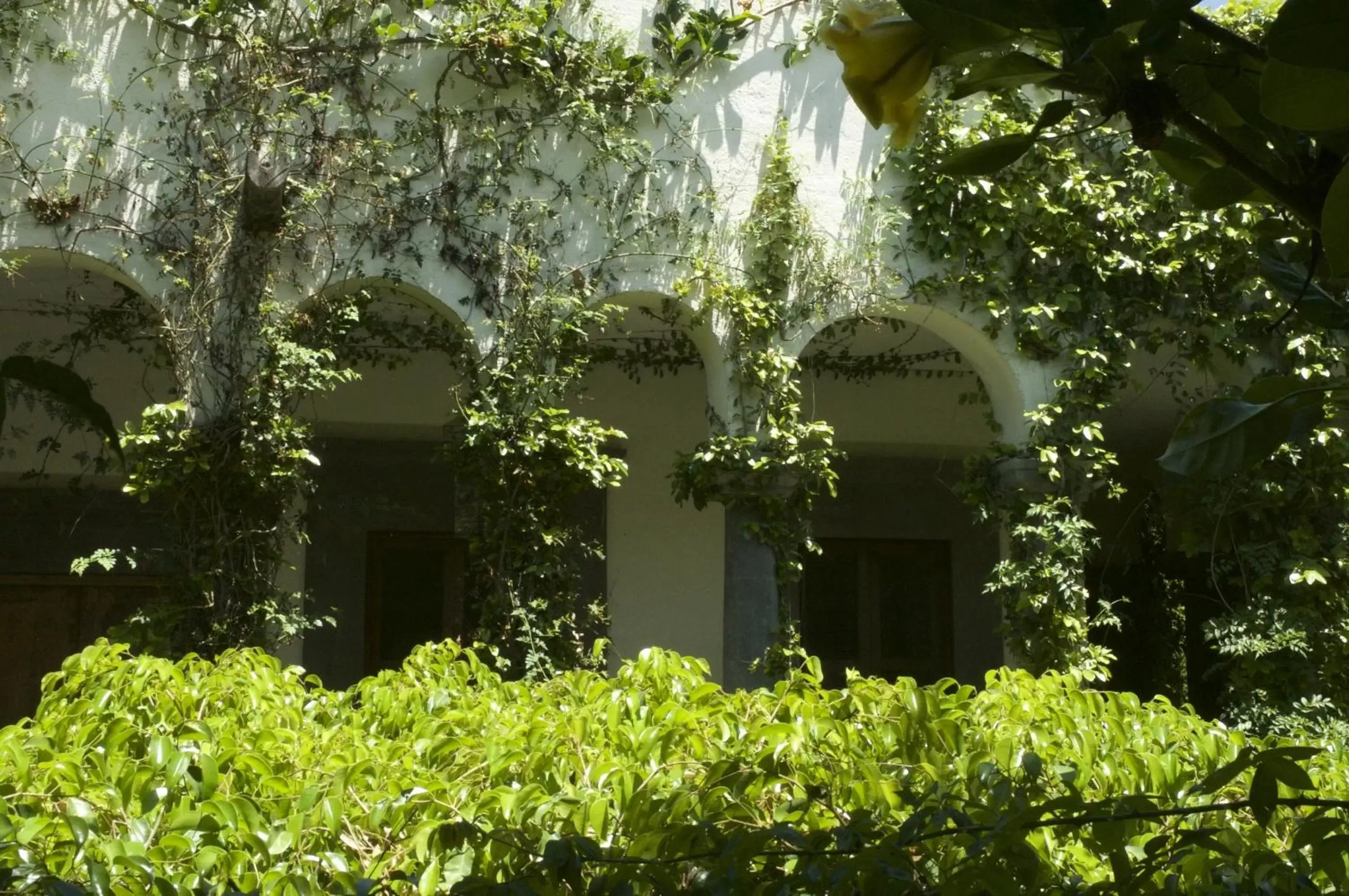 Garden view, Property Building in Casa Mision de San Miguel