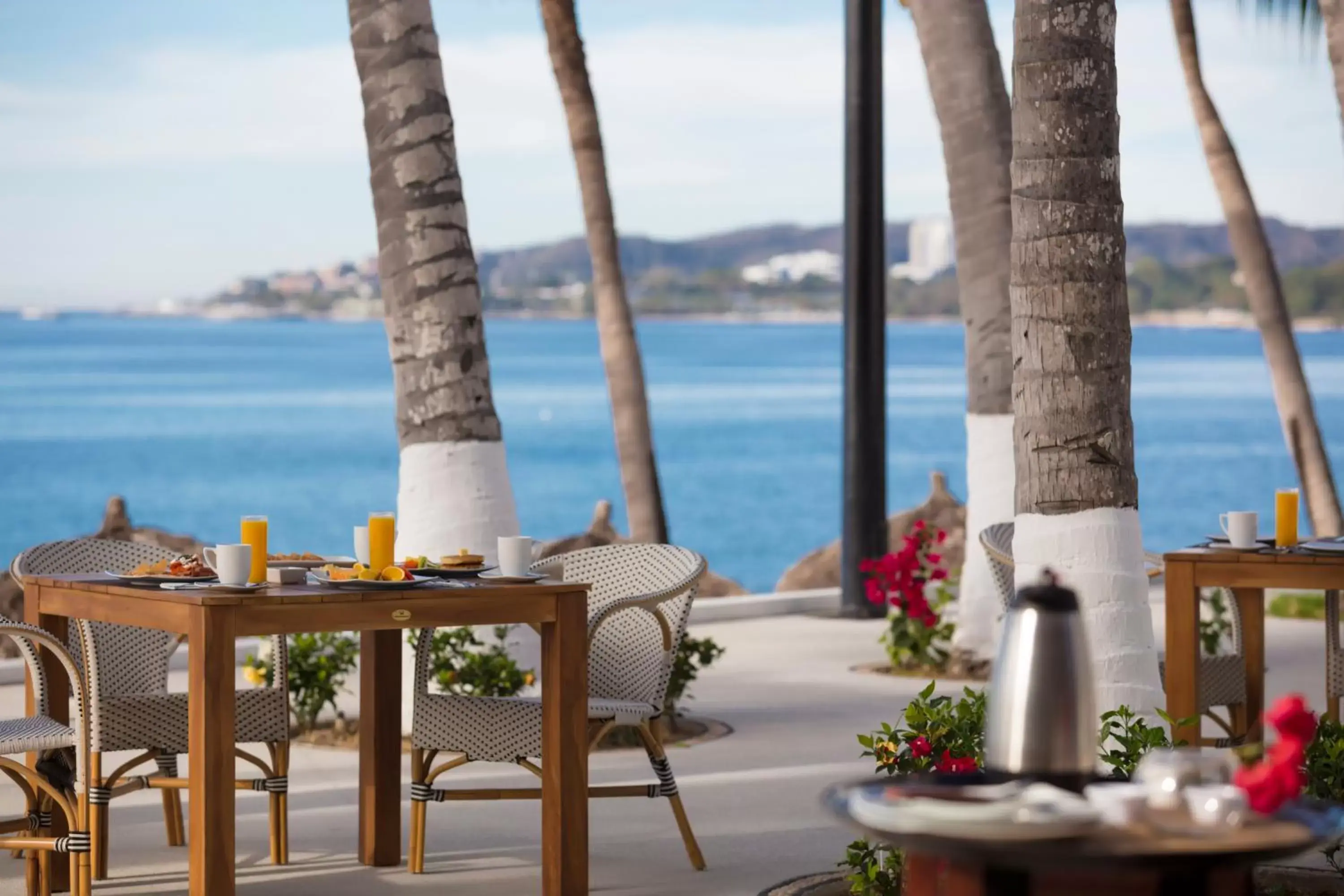 Sea view in Vista Vallarta All Suites On The Beach Sea view in Vista Vallarta All Suites On The Beach