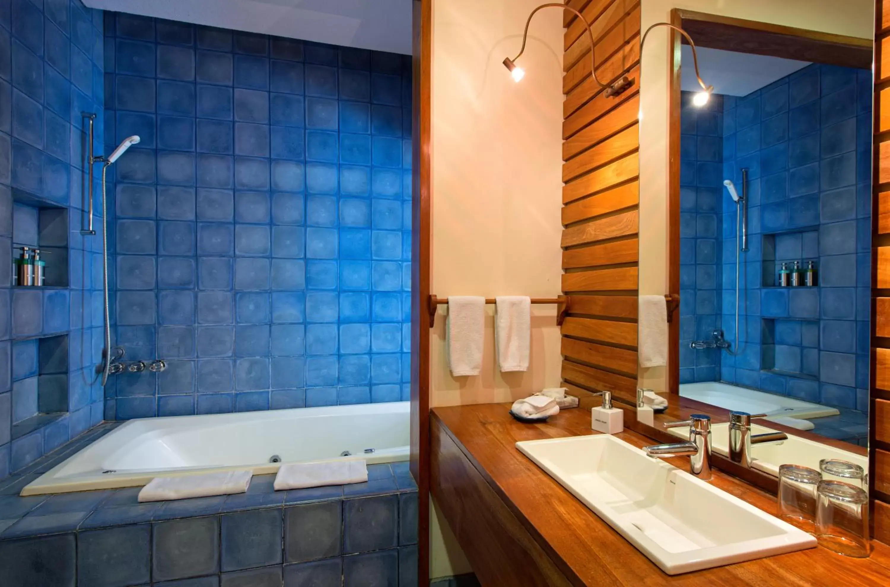 Shower, Bathroom in Capitán Suizo Beachfront Boutique Hotel