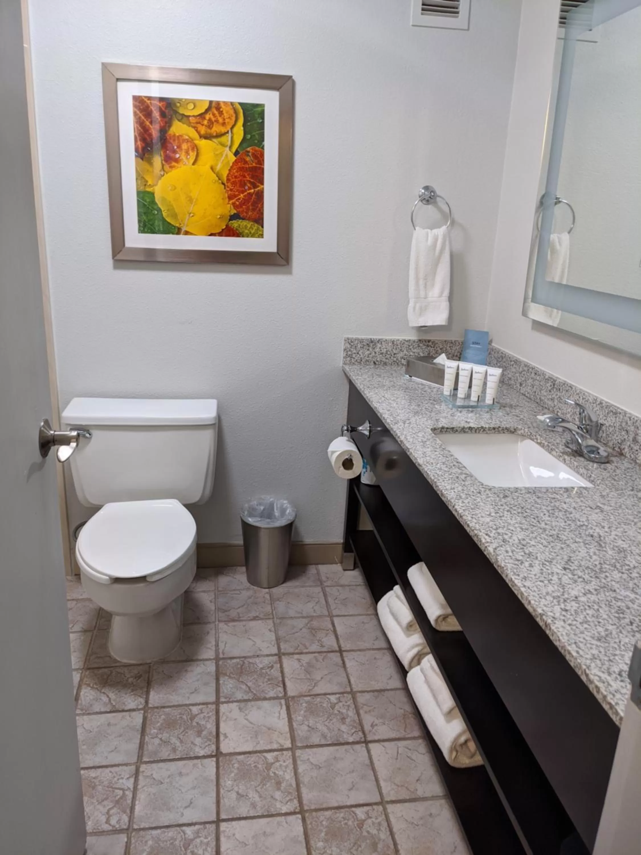 Toilet in Plaza Hotel Denver Central