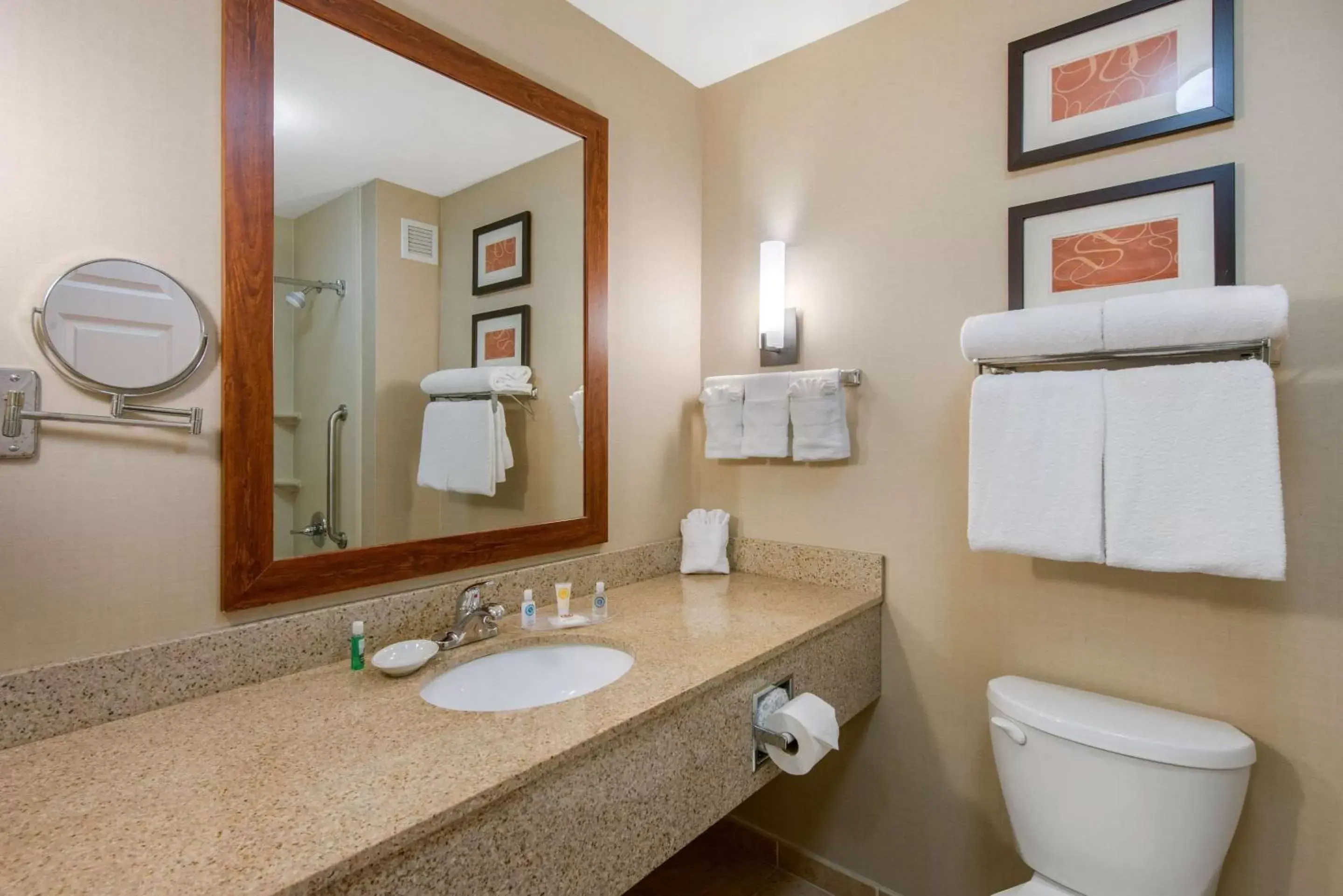 Bathroom in Comfort Suites Sarasota-Siesta Key