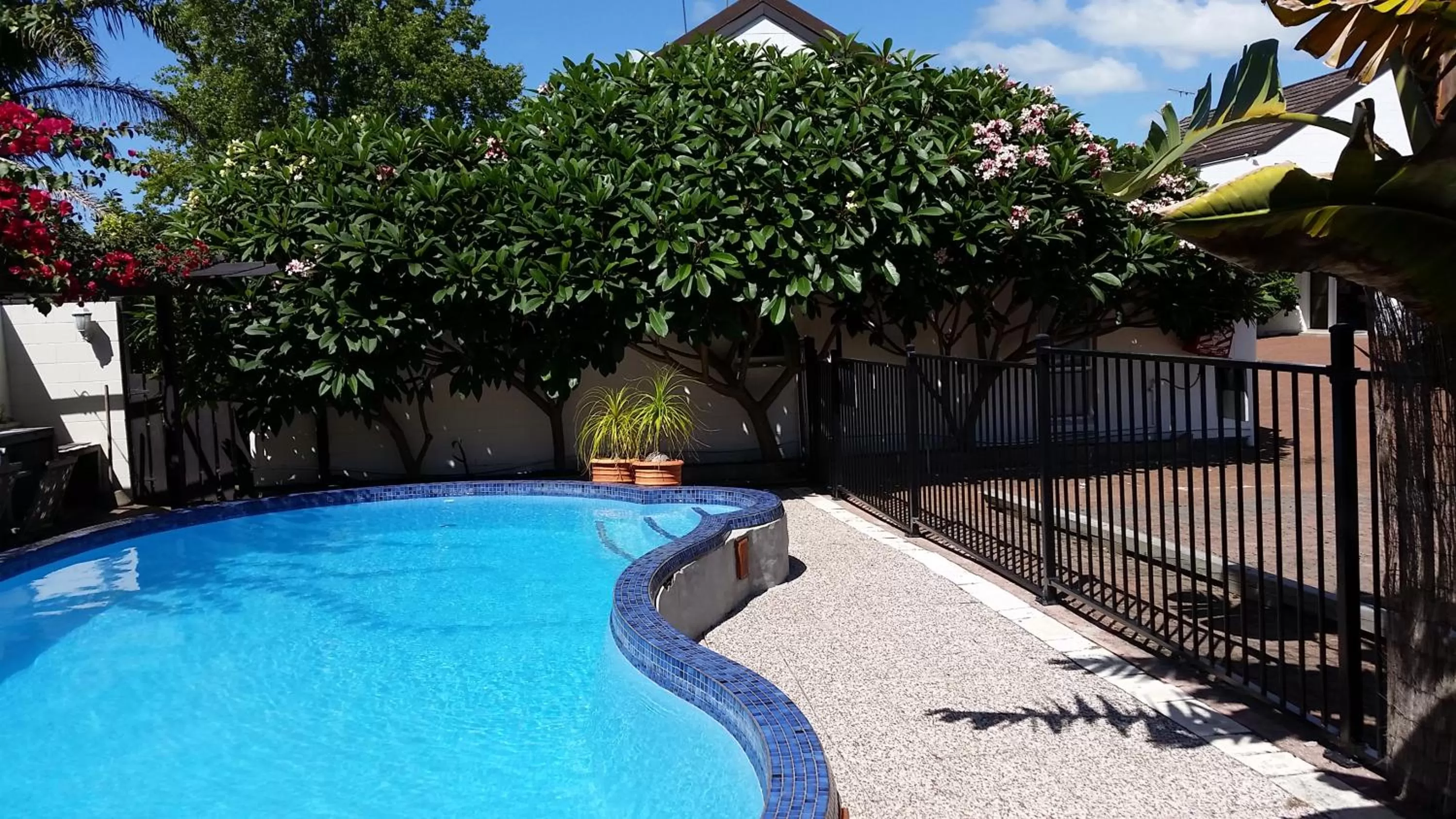 Swimming pool in Kerikeri Court Motel