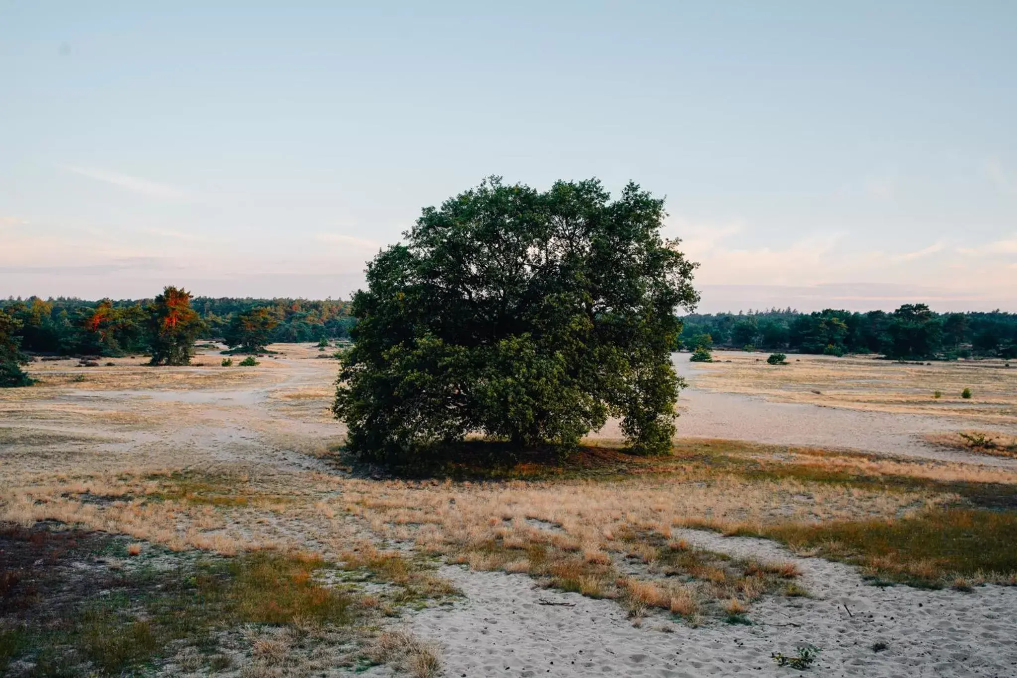 Natural landscape in de Wever Lodge