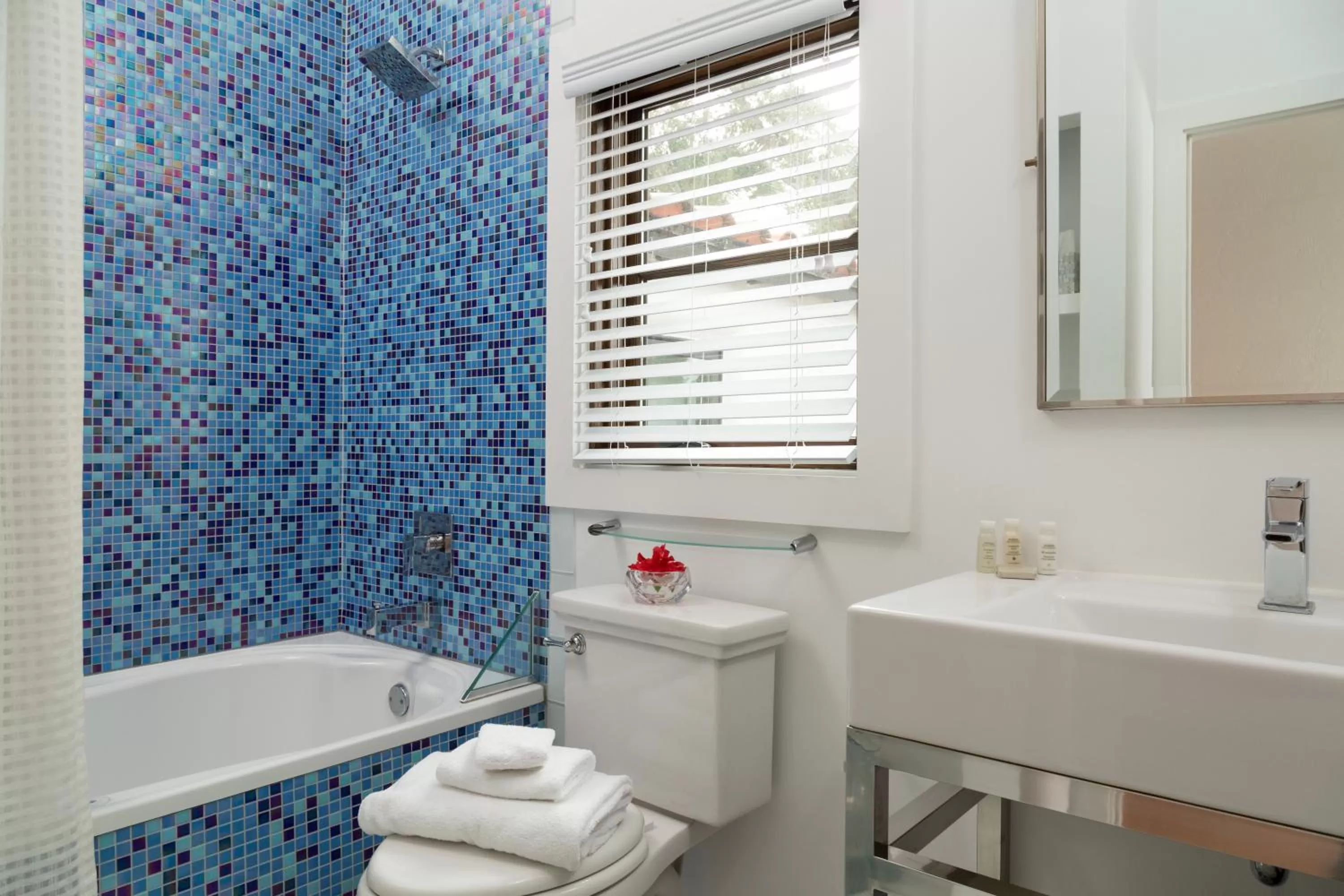 Shower in Black Dolphin Inn