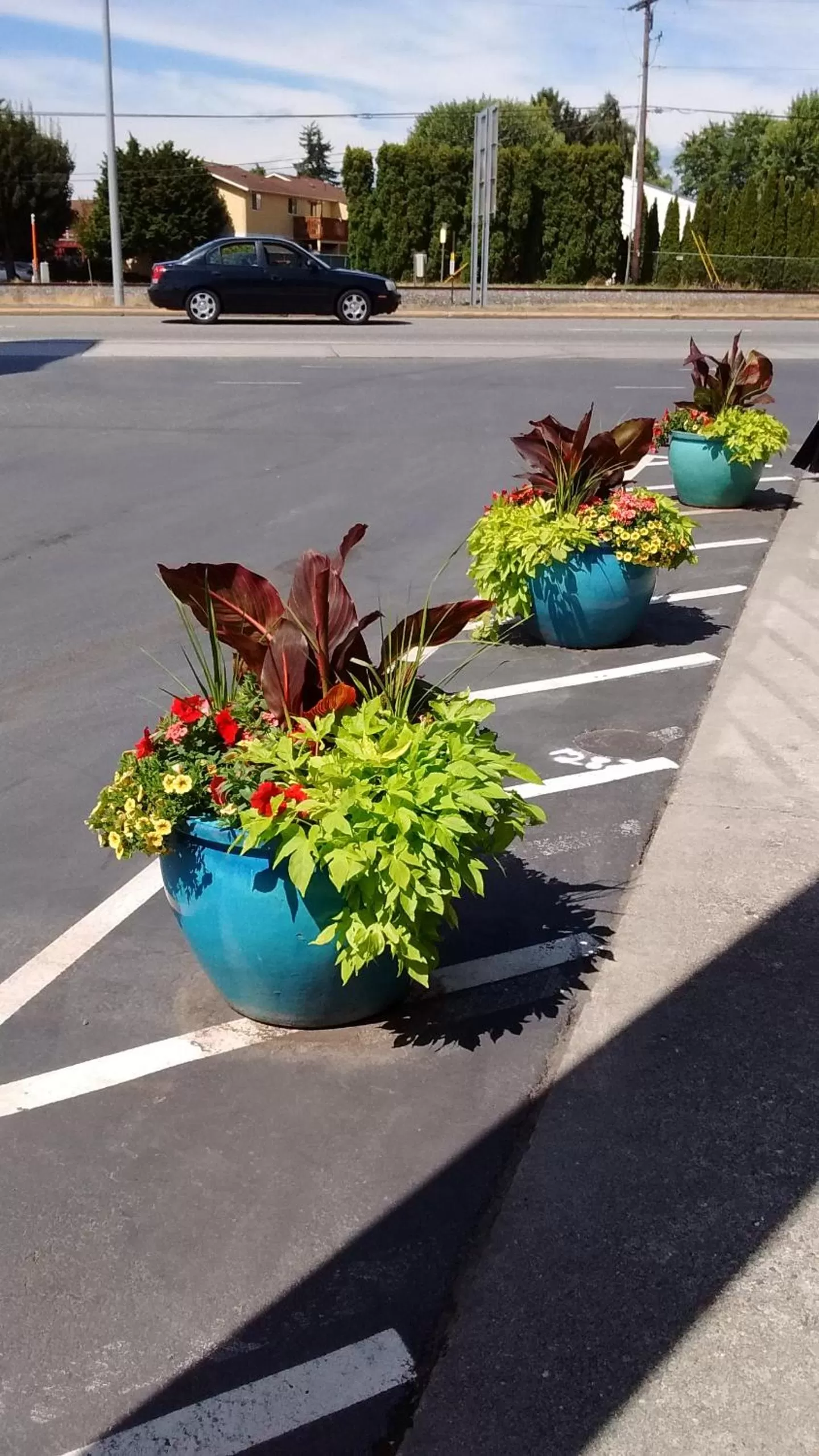 Facade/entrance in Cocusa Motel