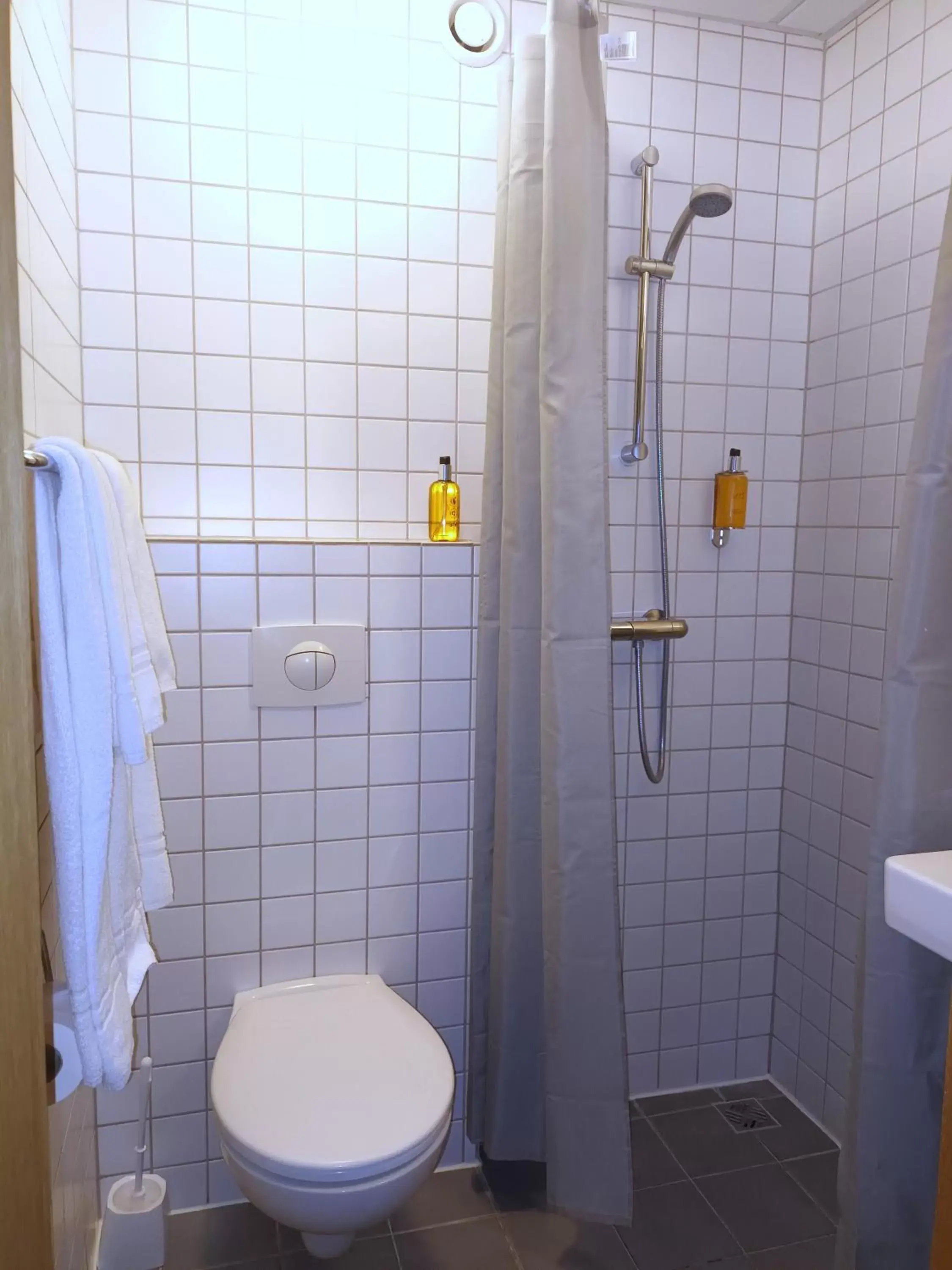 Shower, Bathroom in Hotel Leifur Eiriksson