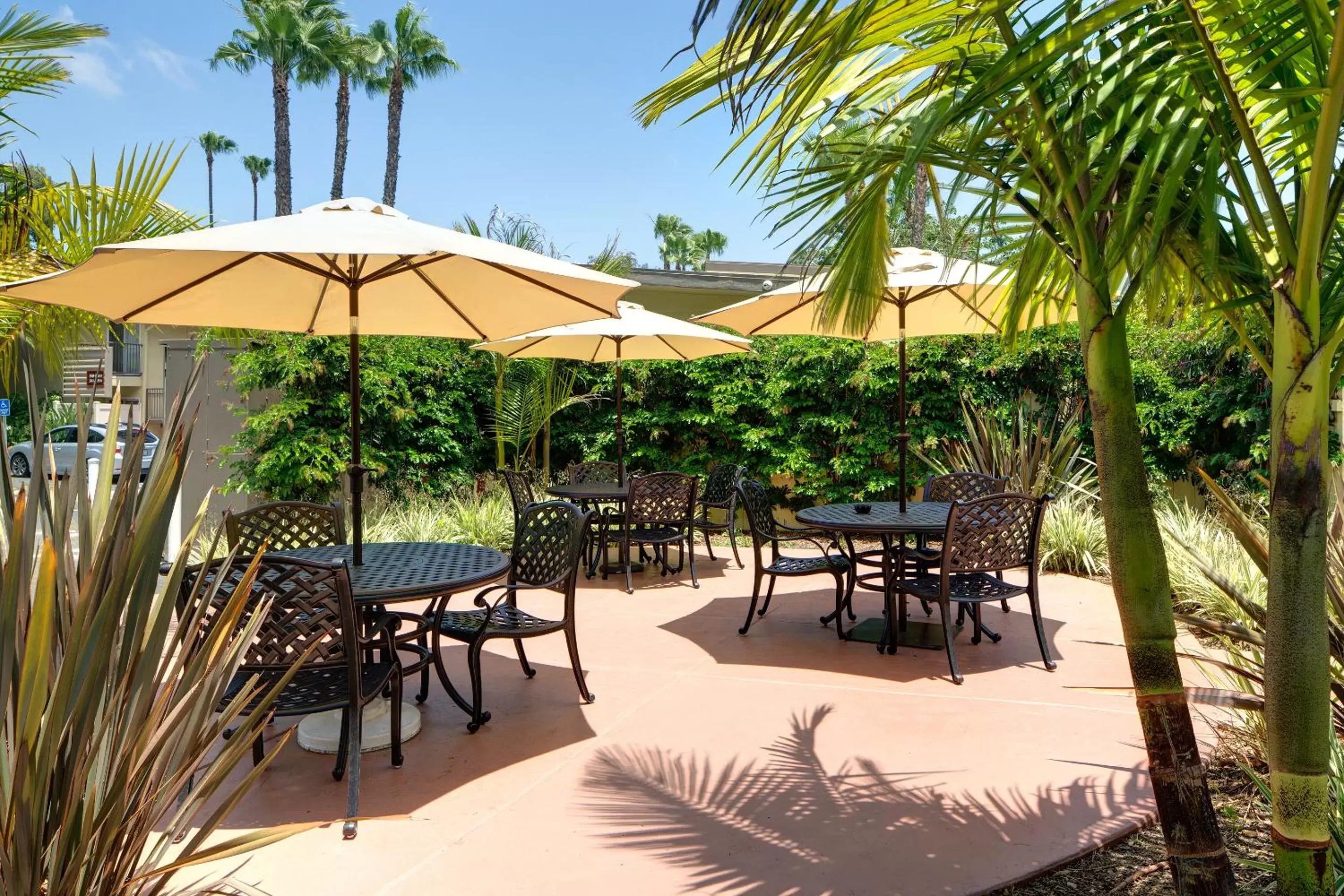 Patio, Restaurant/Places to Eat in Best Western Seven Seas