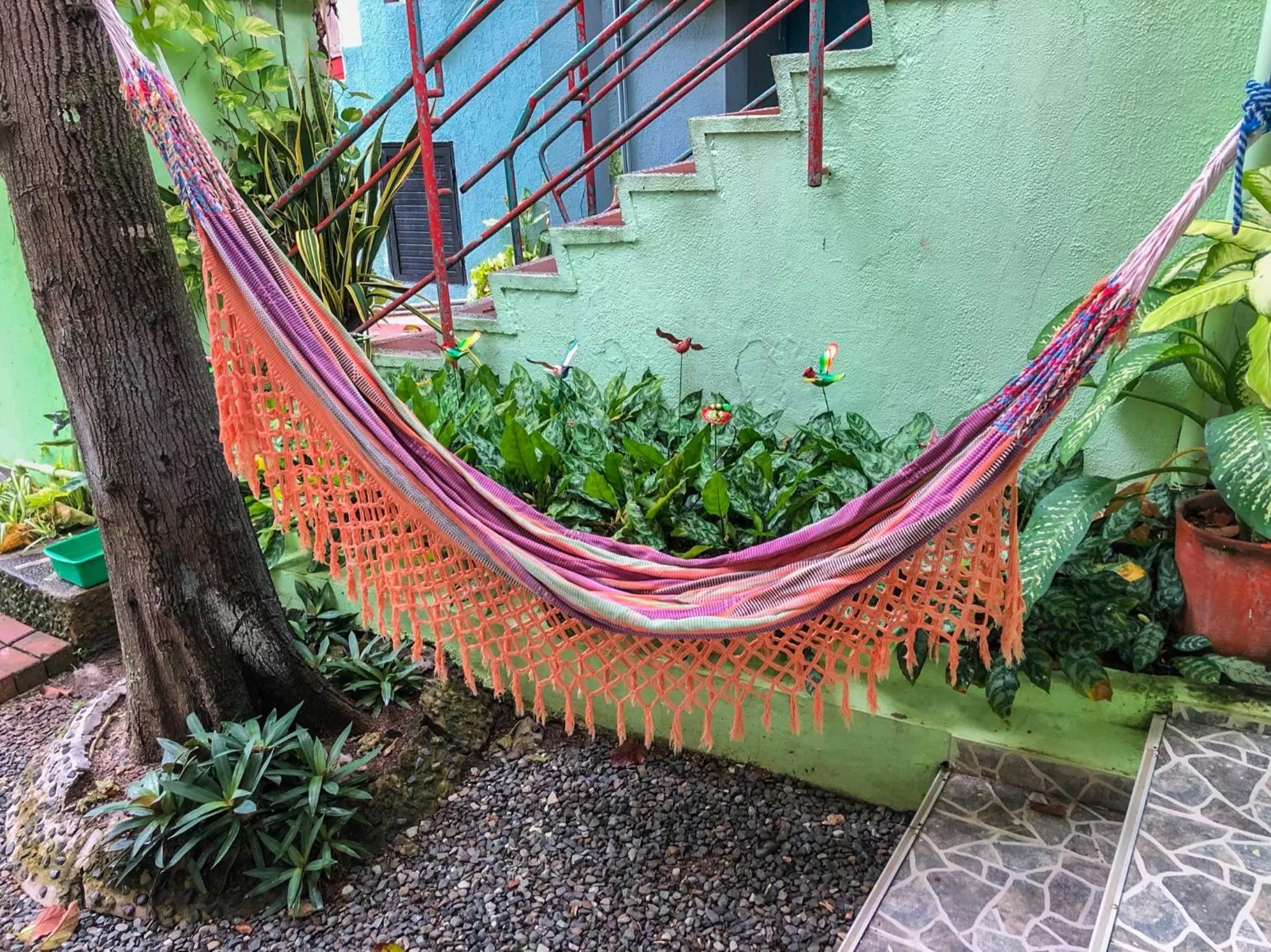 Patio in Posada Nativa Bernard Place
