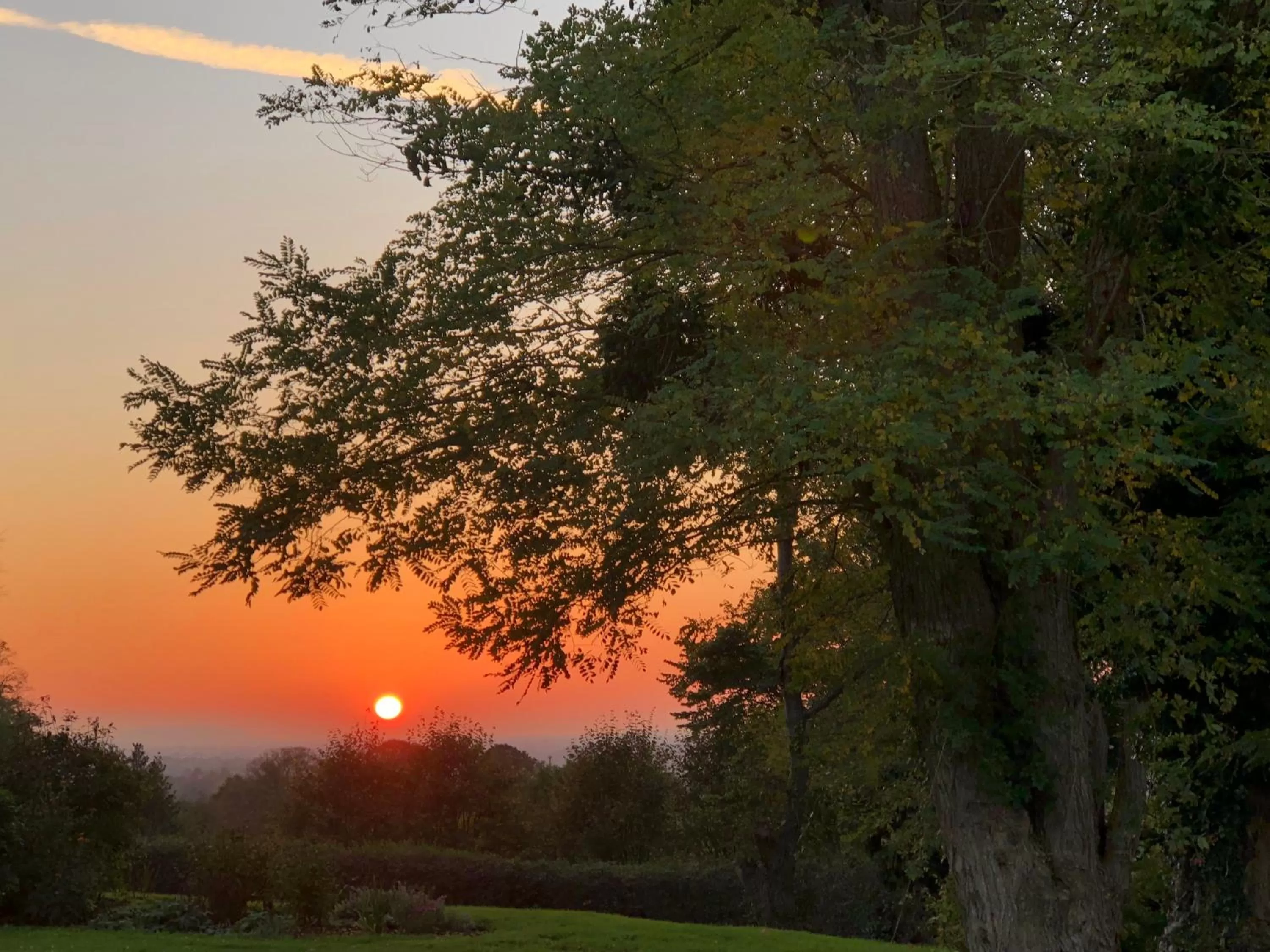 Sunset in The Den at Backwell Down