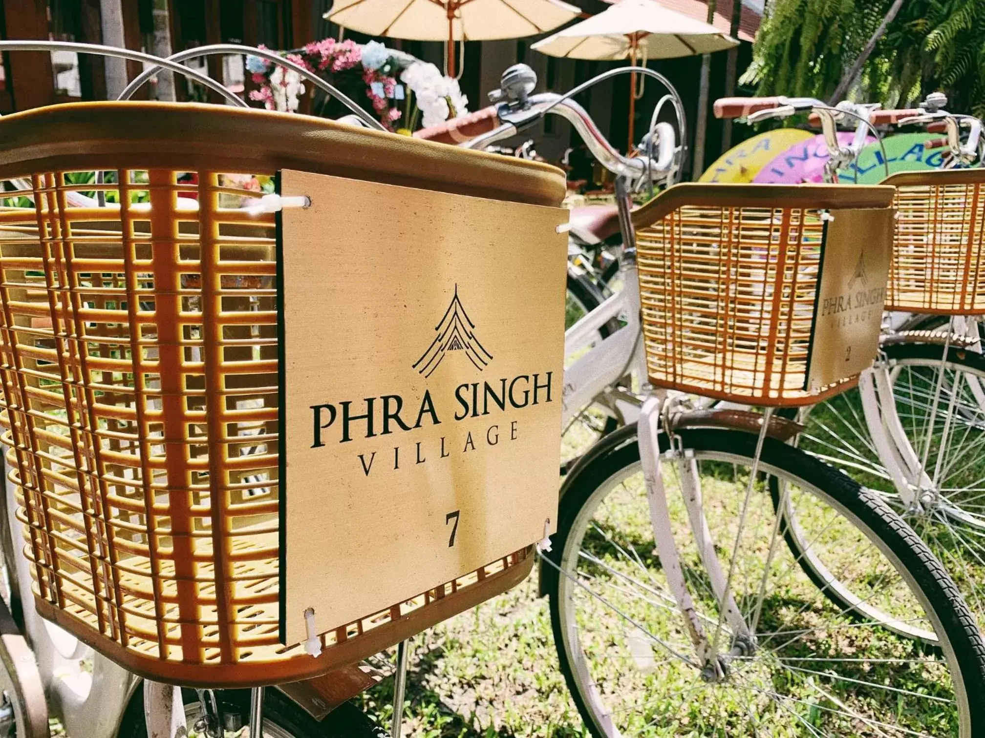 Cycling in Phra Singh Village