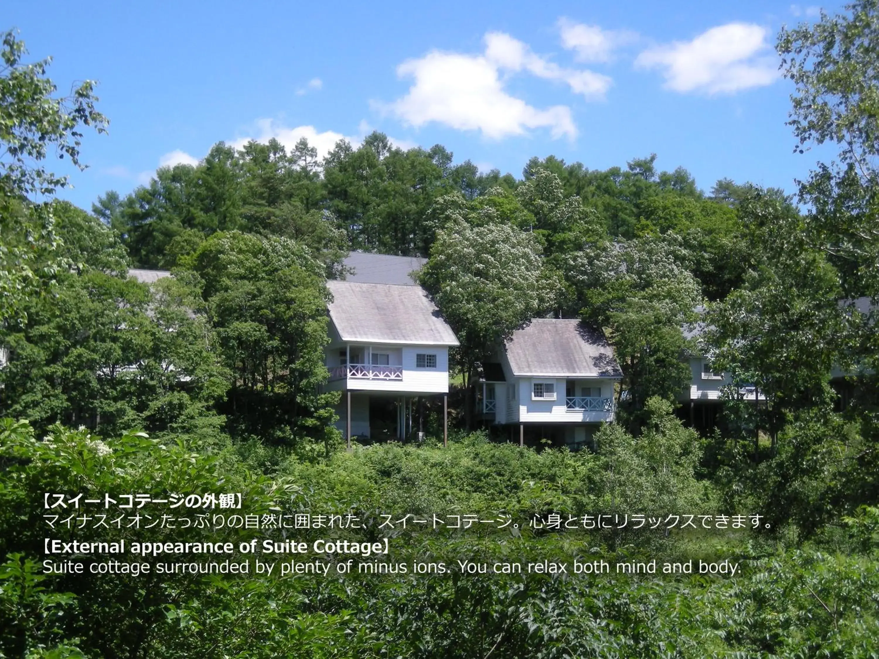 Bird's eye view in Resort Villa Takayama