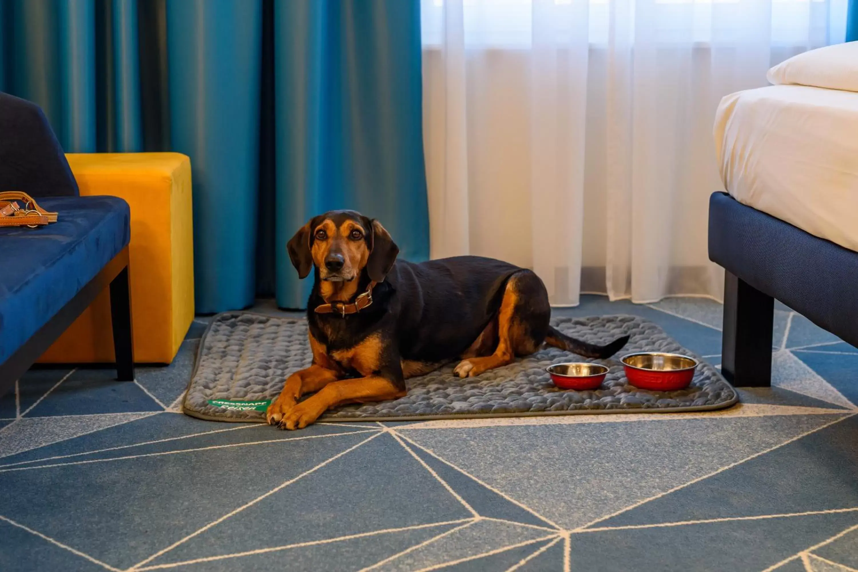 Pets in ibis Styles Bad Reichenhall