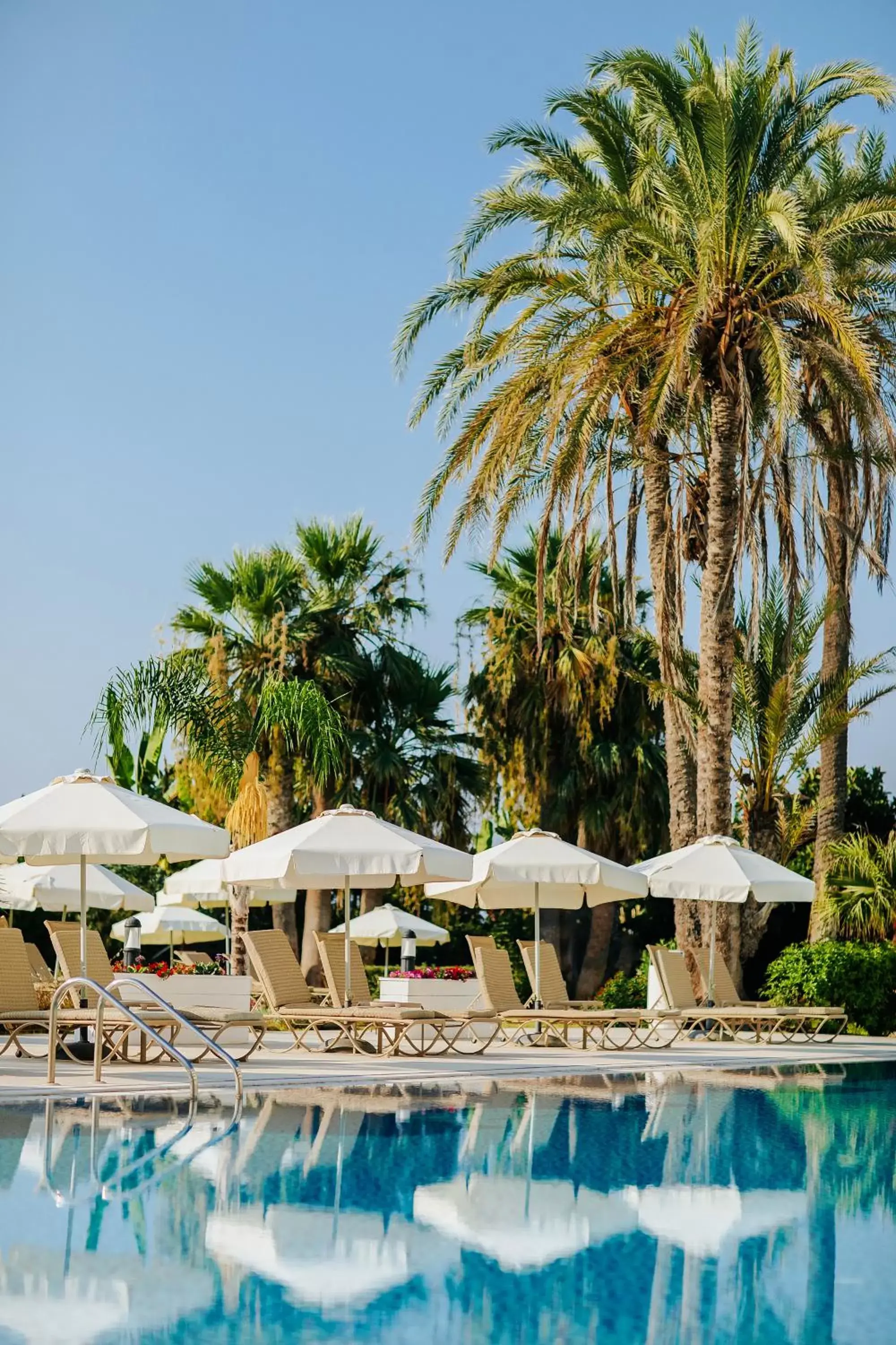 Swimming Pool in Louis Imperial Beach