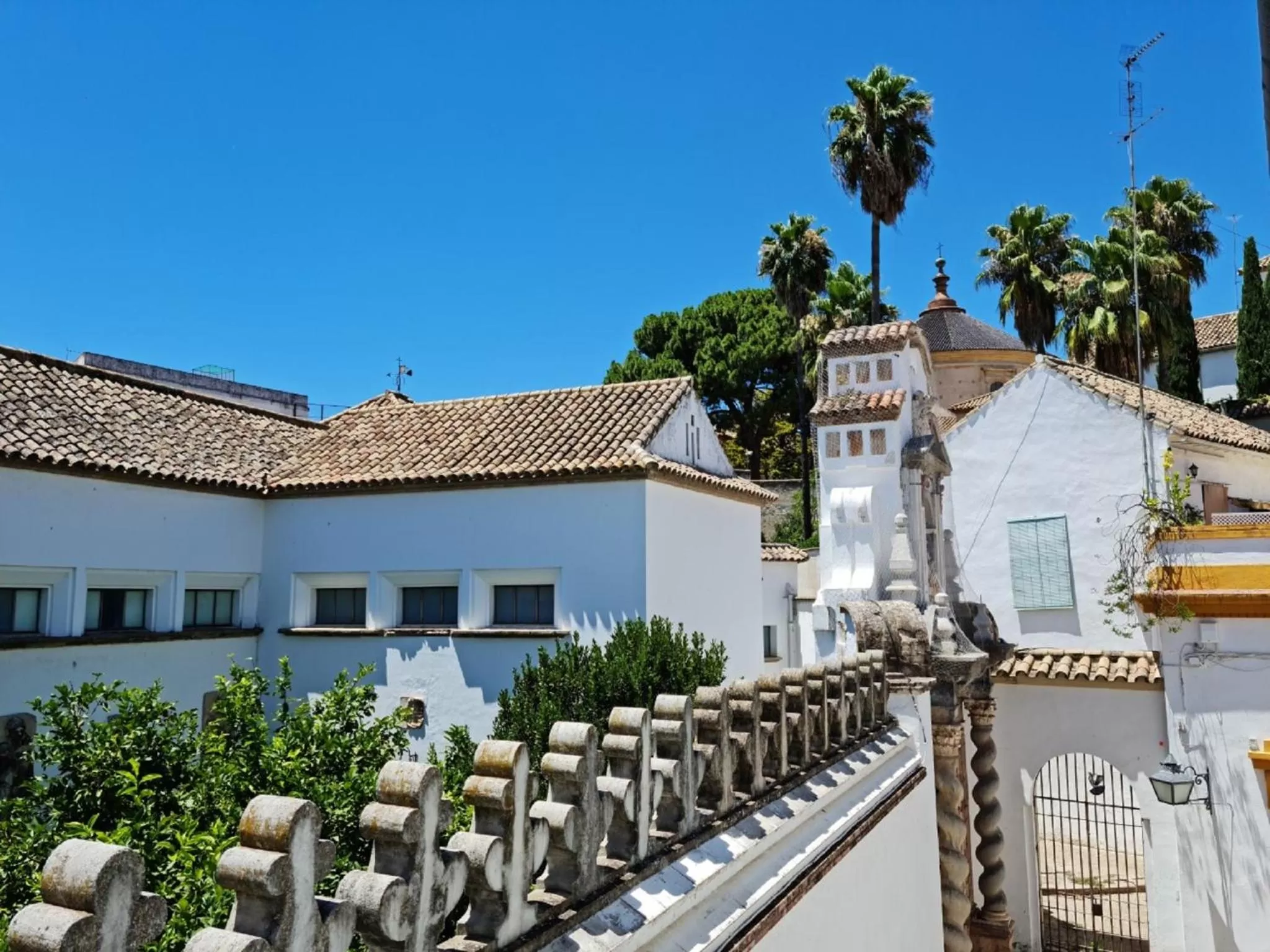 View (from property/room) in Hotel Plateros