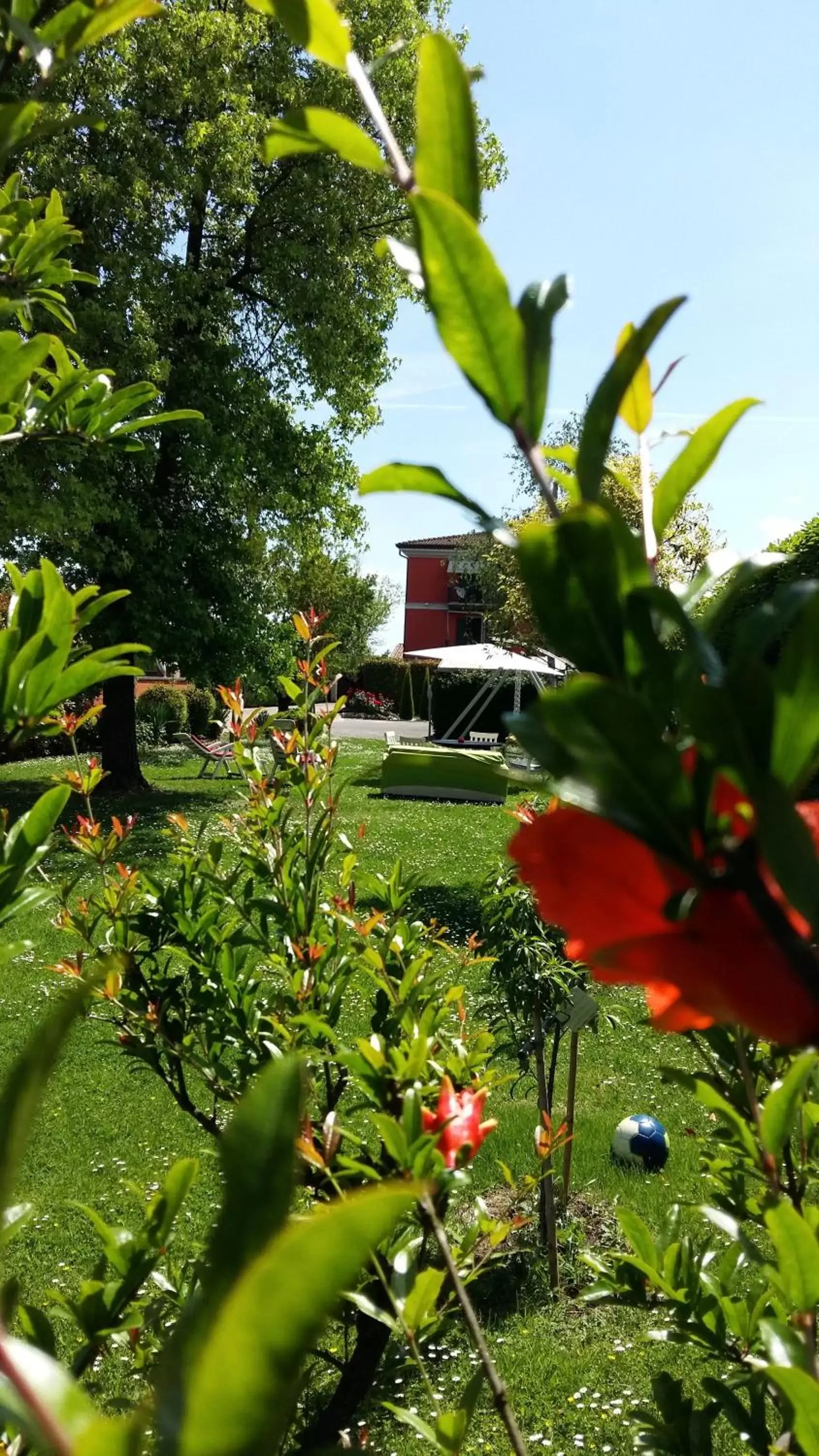 Garden in La Casa di Linda