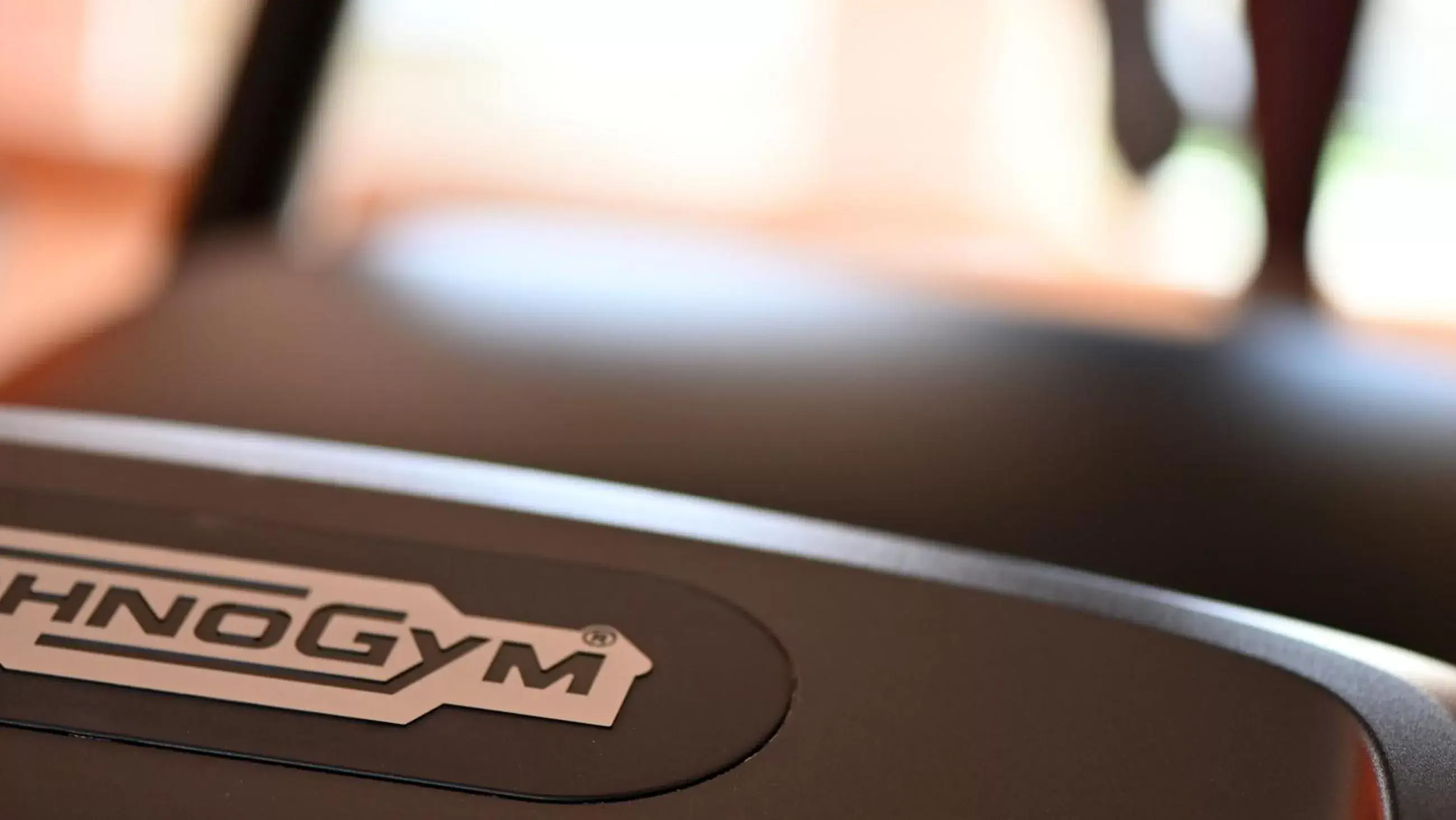 Fitness centre/facilities in Best Western Grand Hotel Guinigi Fitness centre/facilities in Best Western Grand Hotel Guinigi