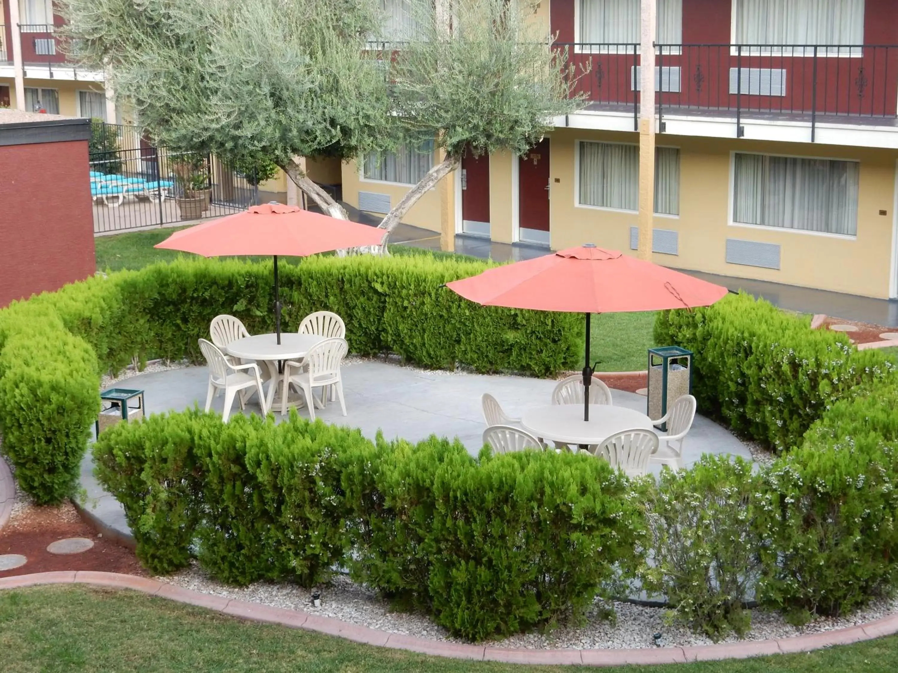 Garden, Patio/Outdoor Area in Mardi Gras Hotel & Casino
