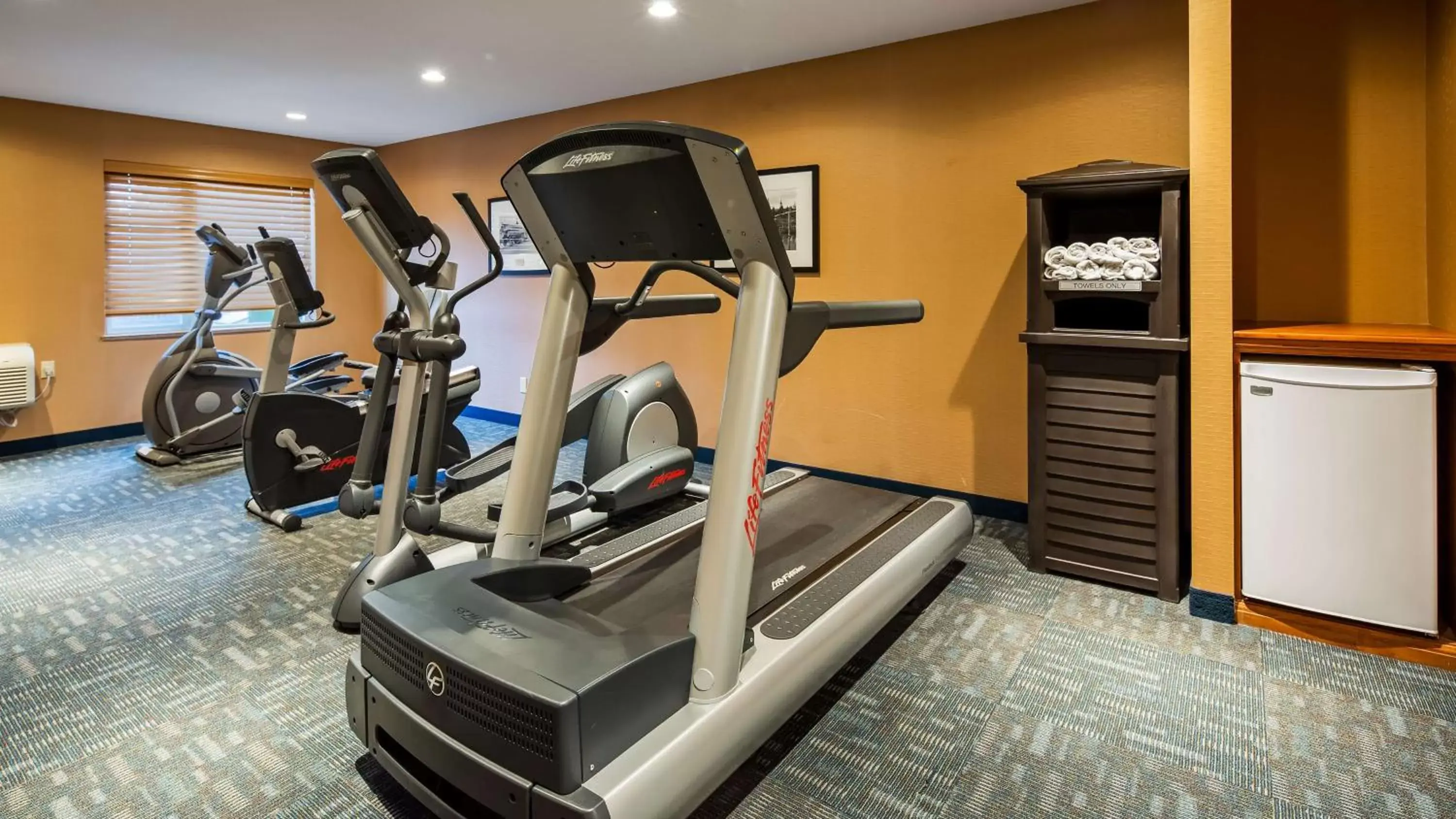 Fitness centre/facilities, Fitness Center/Facilities in Best Western Plus Country Meadows Inn