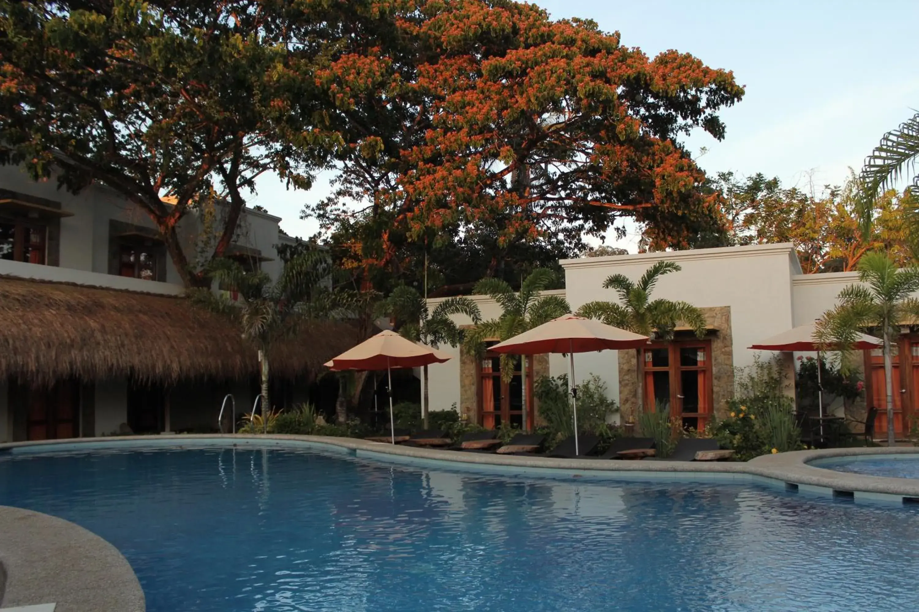 Day, Swimming Pool in Acacia Tree Garden Hotel