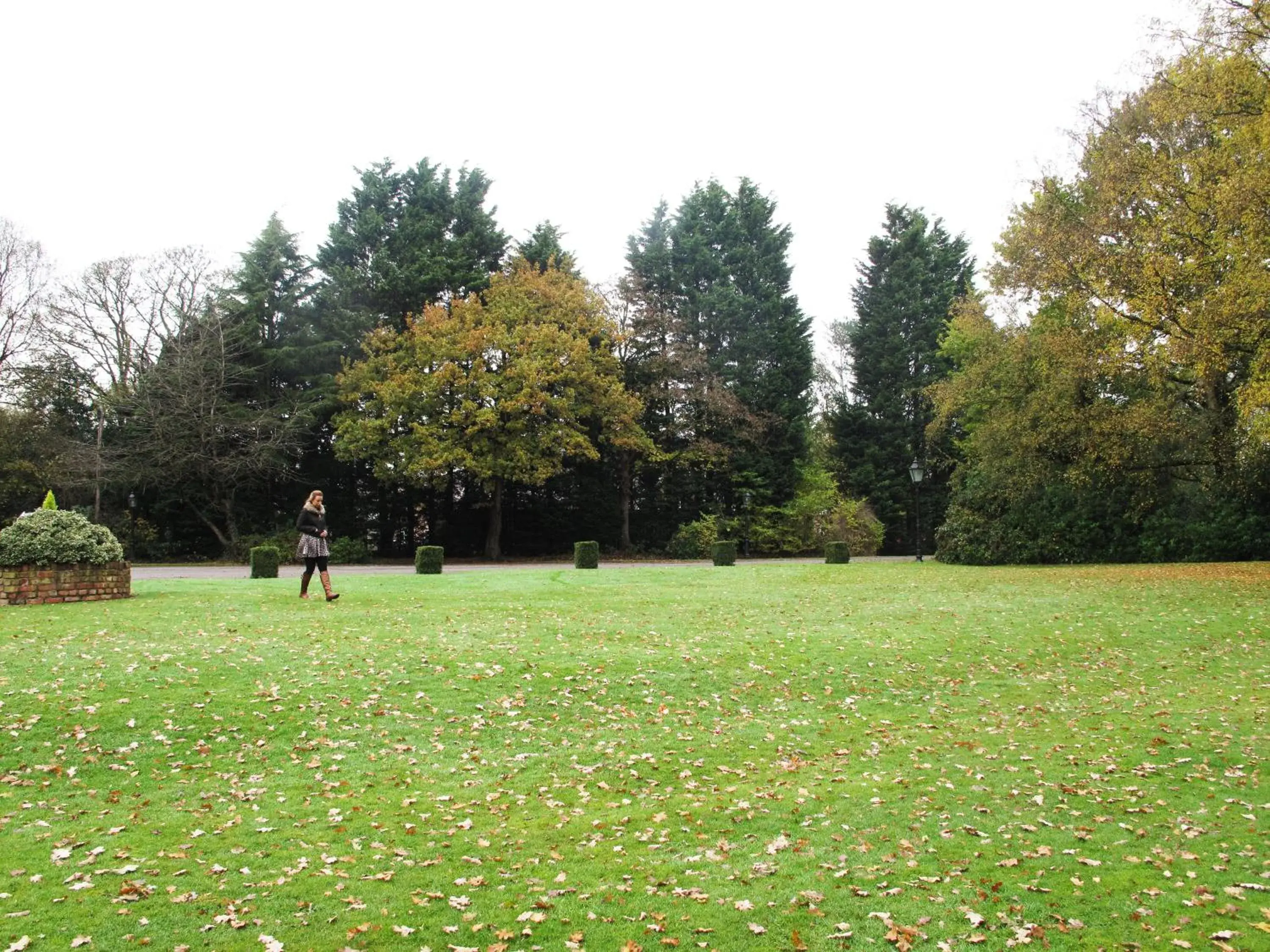 Natural landscape, Garden in Wincham Hall Hotel