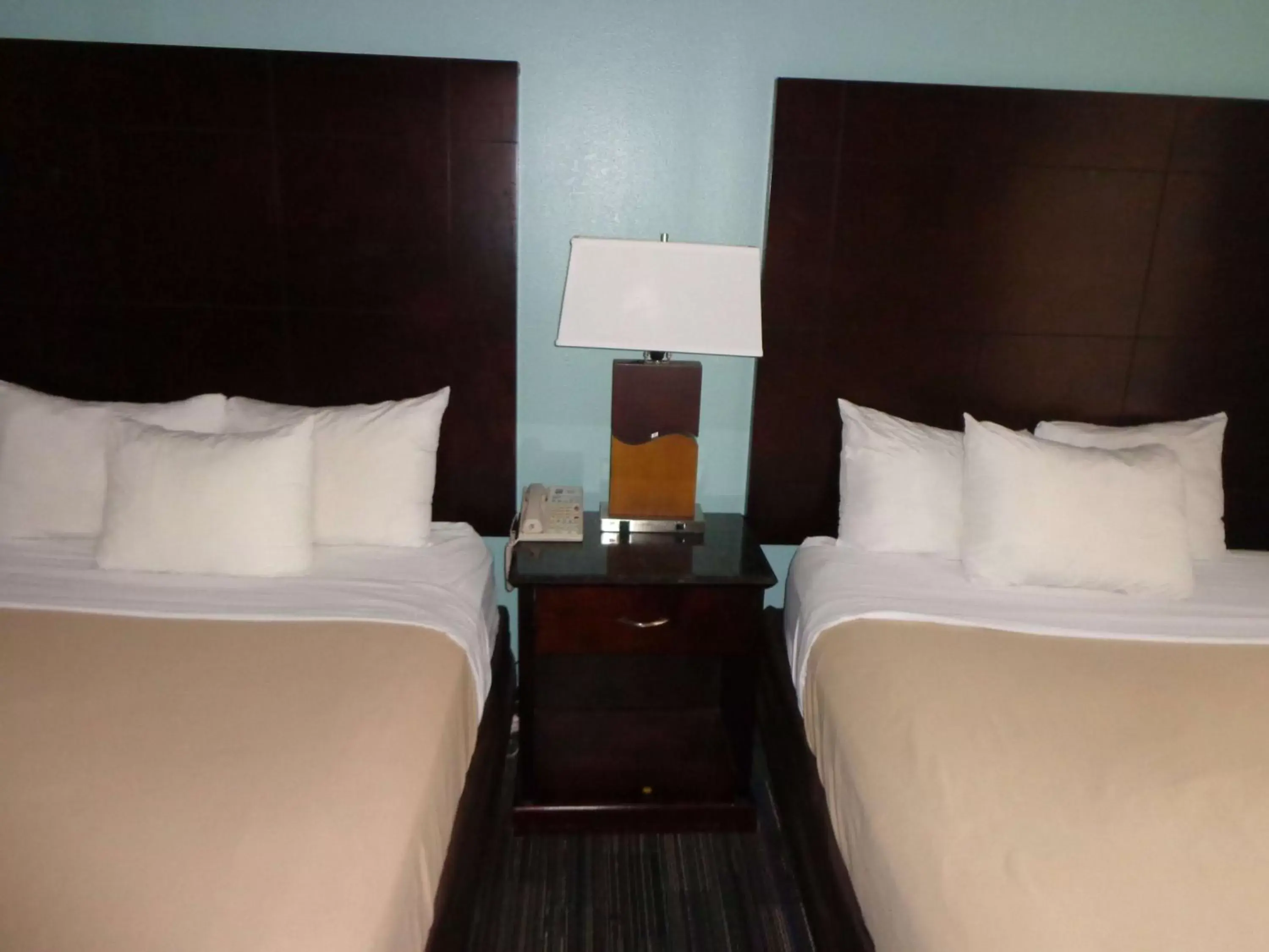 Photo of the whole room, Bed in SureStay Plus by Best Western Orlando Lake Buena Vista