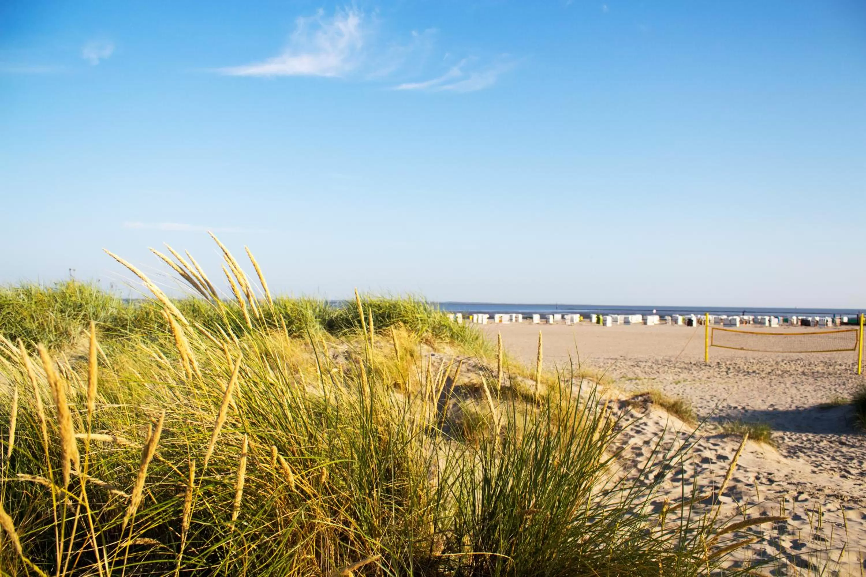 Beach in Hotel Regina Maris