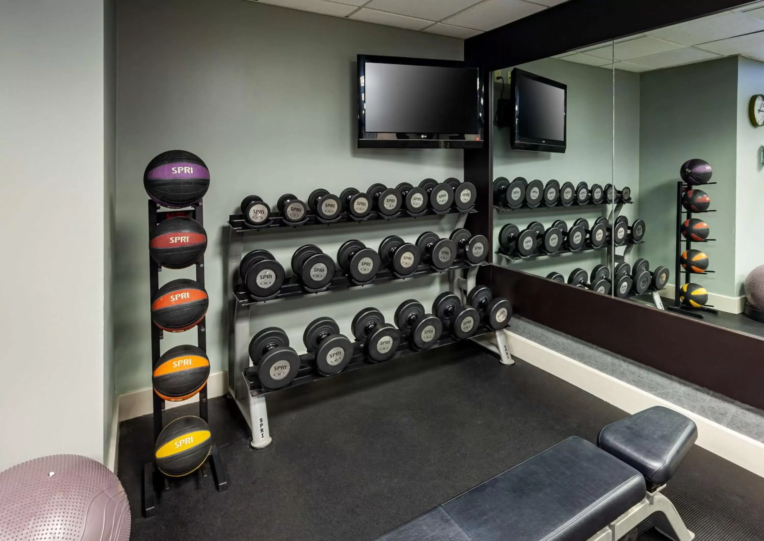 Fitness centre/facilities, Fitness Center/Facilities in Homewood Suites by Hilton Jacksonville-South/St. Johns Ctr.