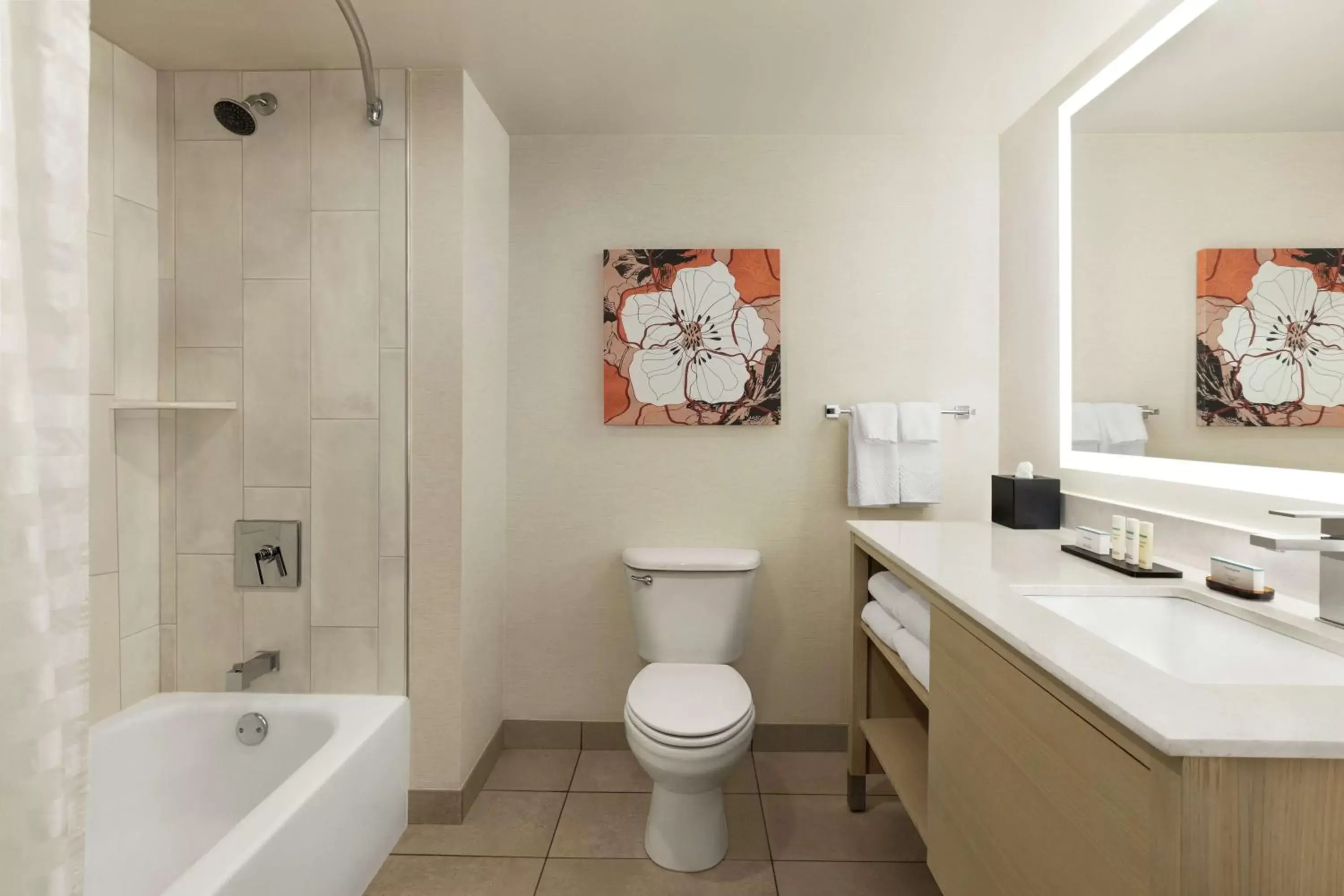 Bathroom in Embassy Suites by Hilton Denver International Airport