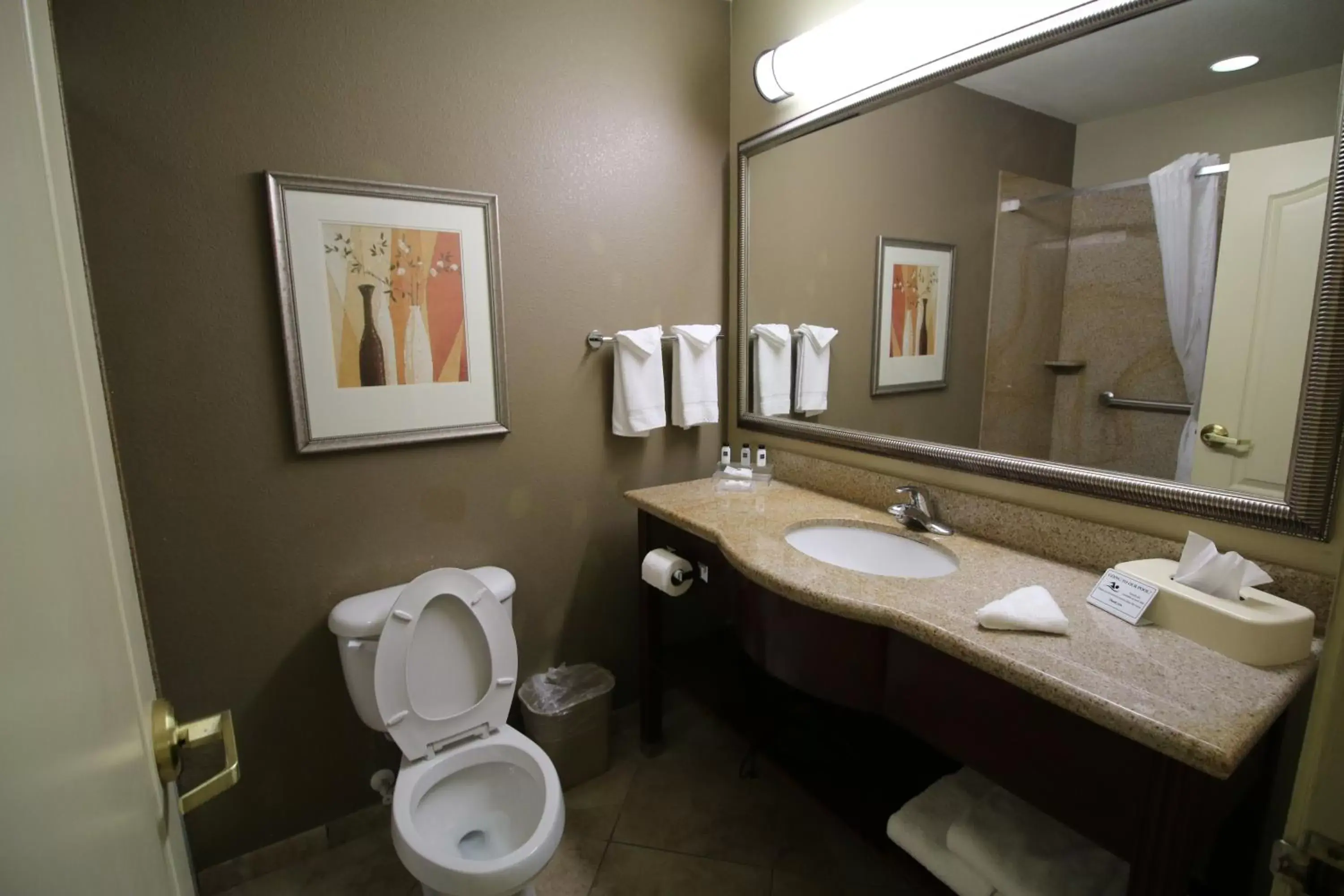 Bathroom in Seffner Inn and Suites