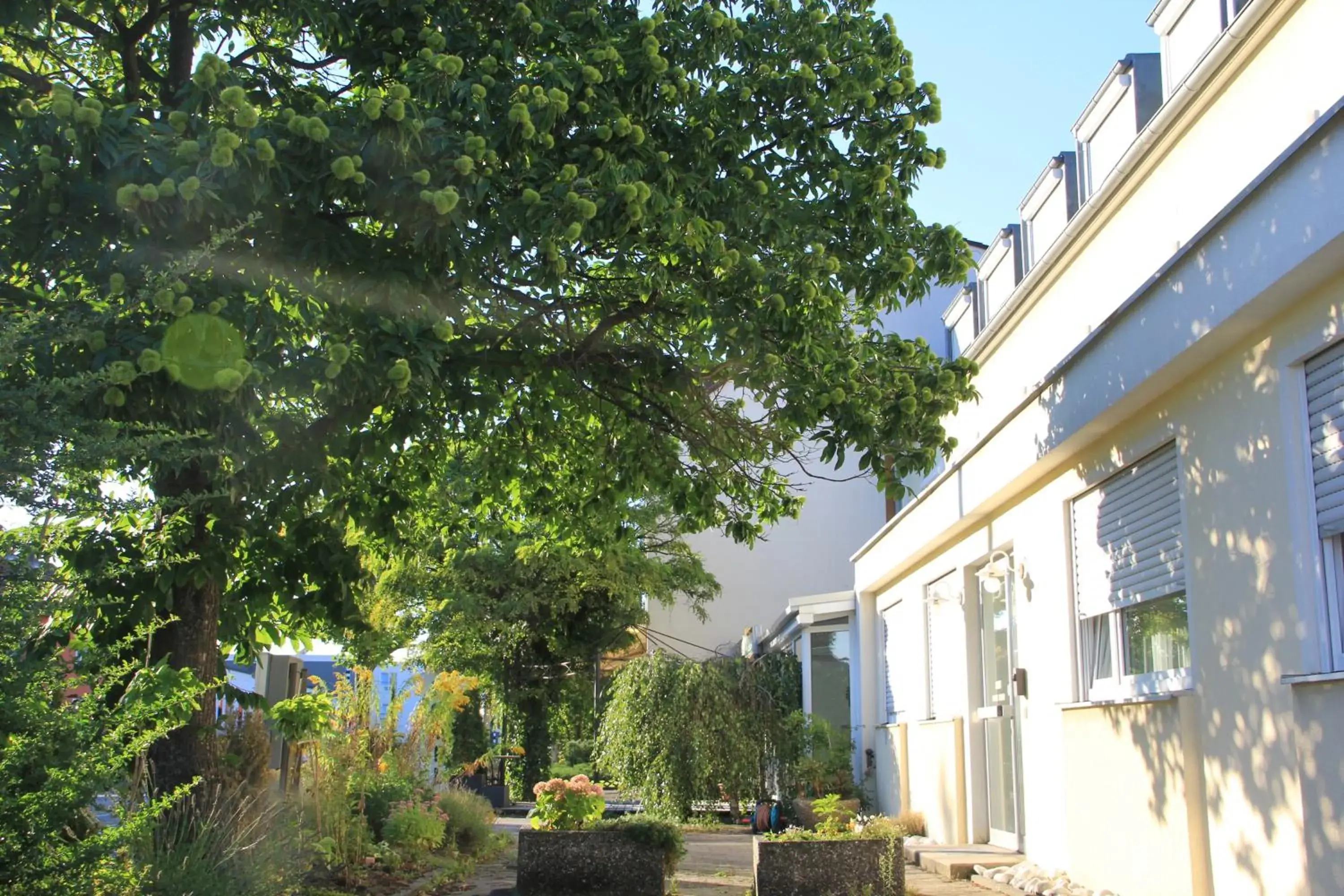 Facade/entrance, Property Building in Hotel Westend