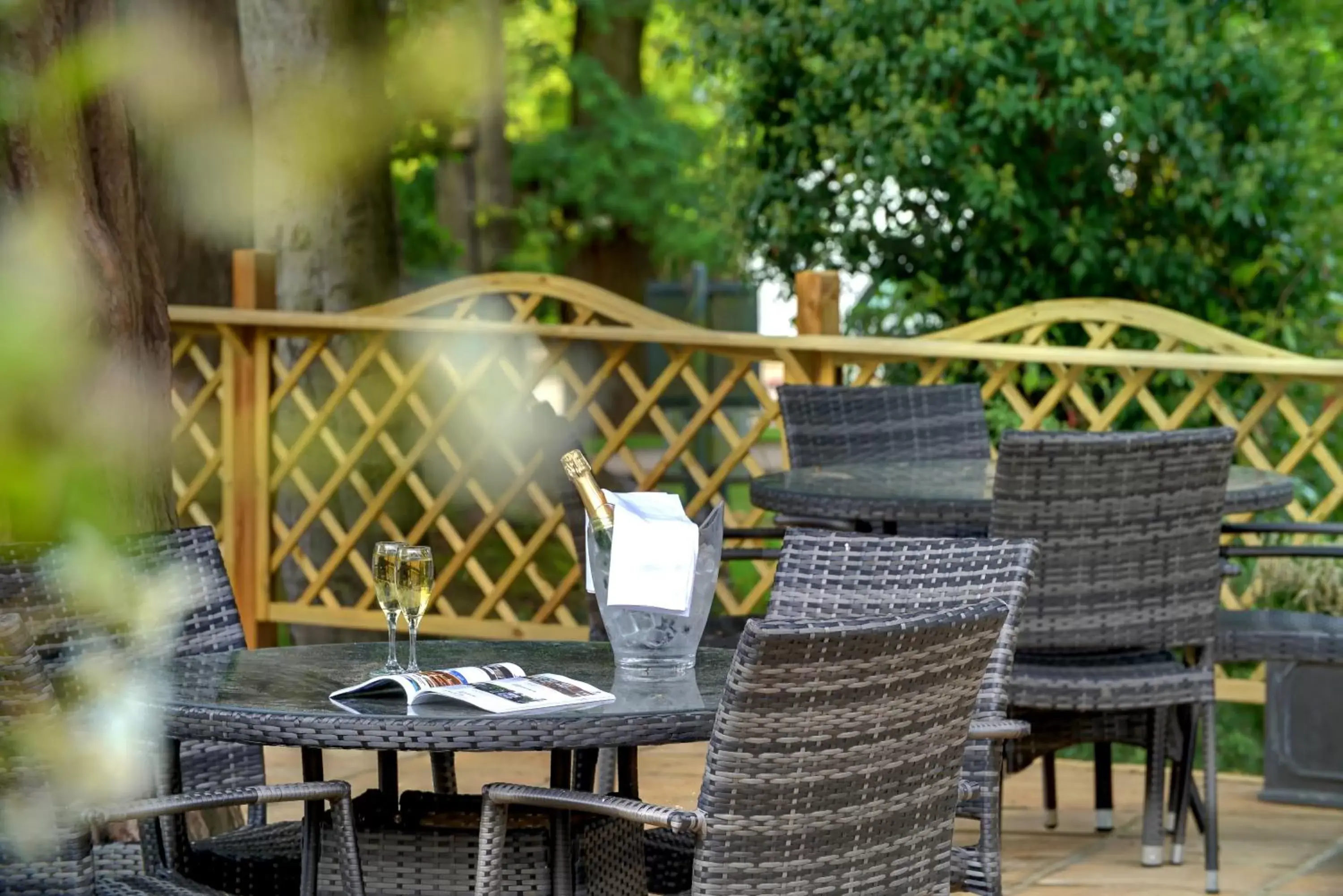 Garden in Best Western Ivy Hill Hotel