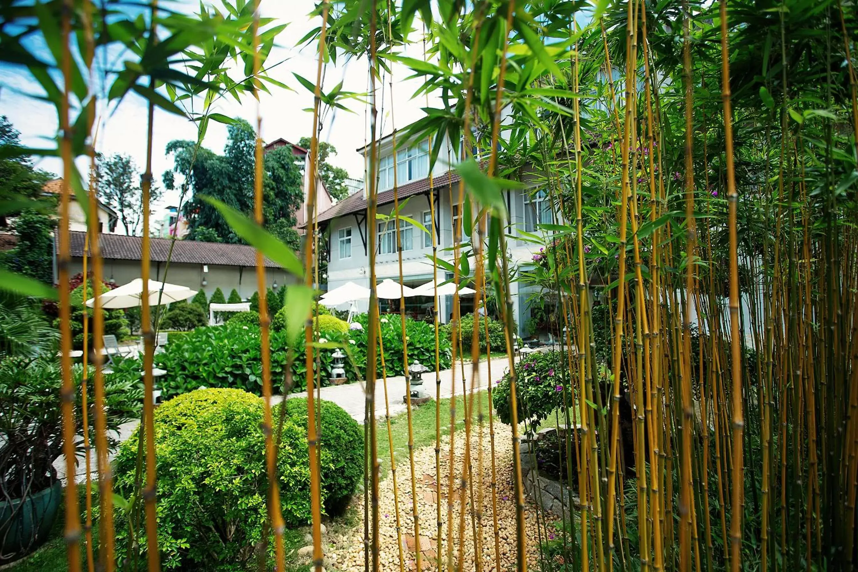 Garden view, Property Building in Muong Thanh Holiday Da Lat Hotel