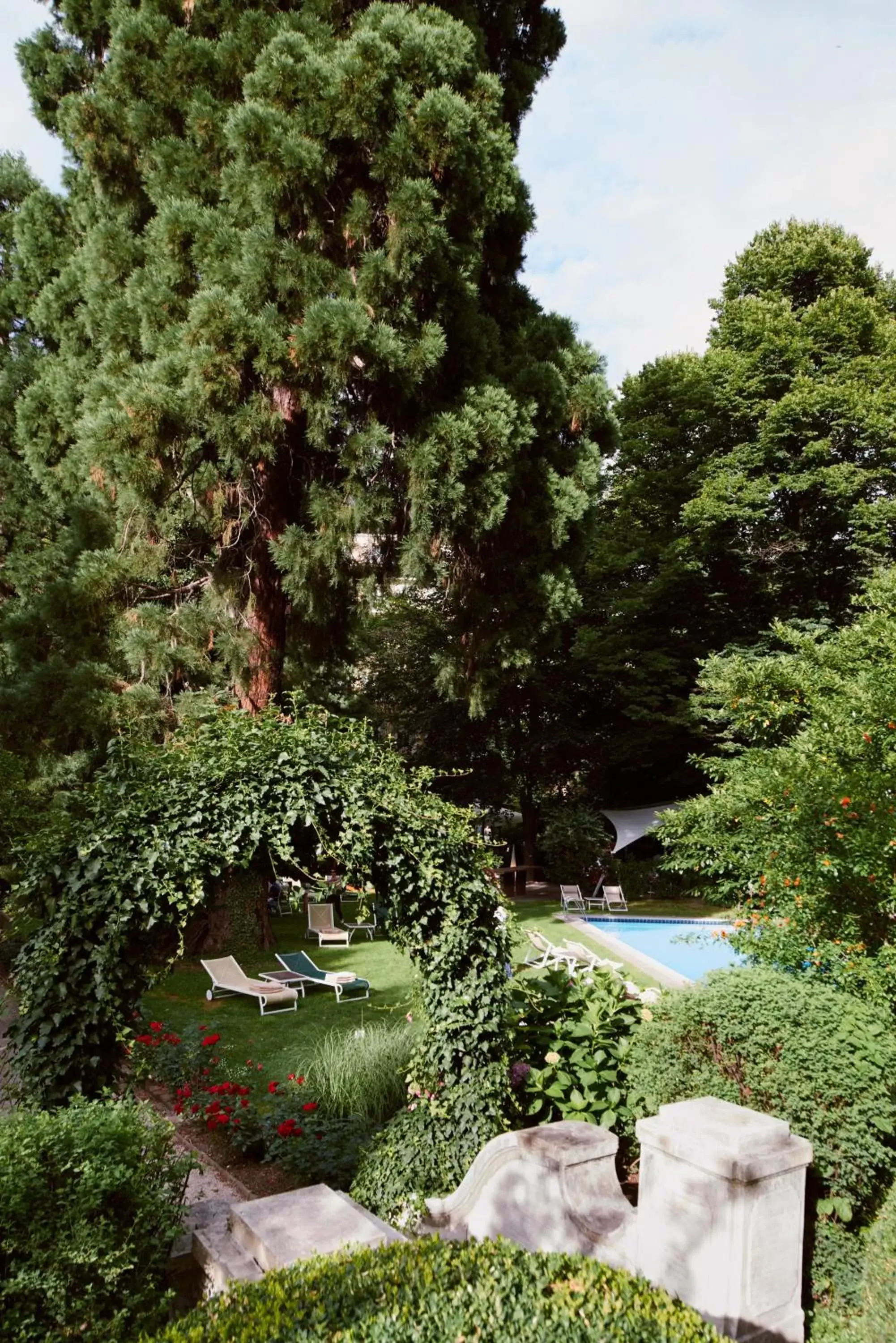 Garden in Hotel Greif