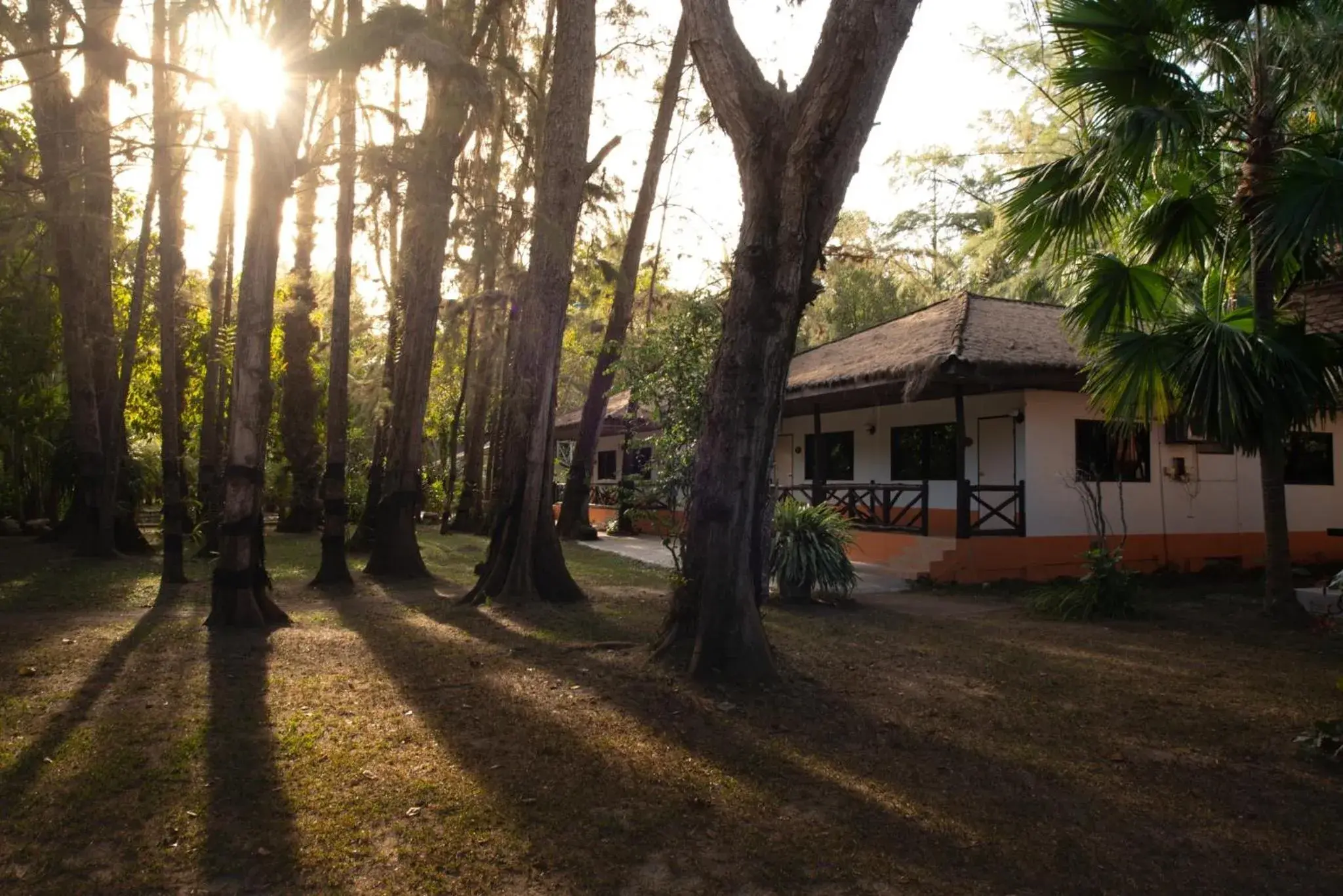 Garden, Property Building in Pakmeng Resort