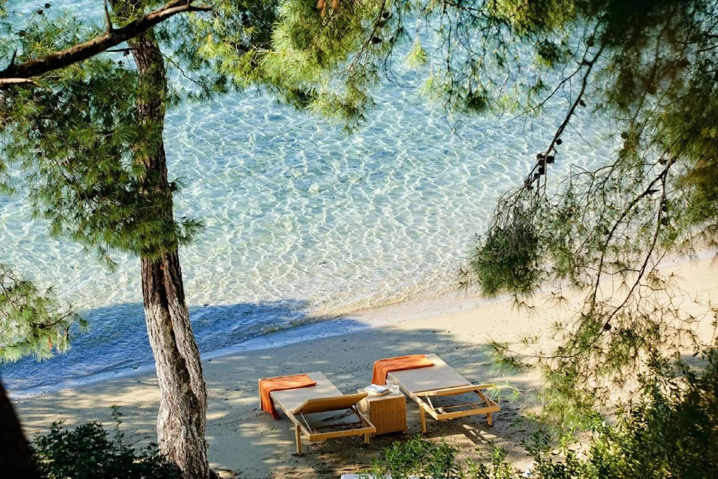 Natural landscape, Beach in Xenia Poros Image Hotel